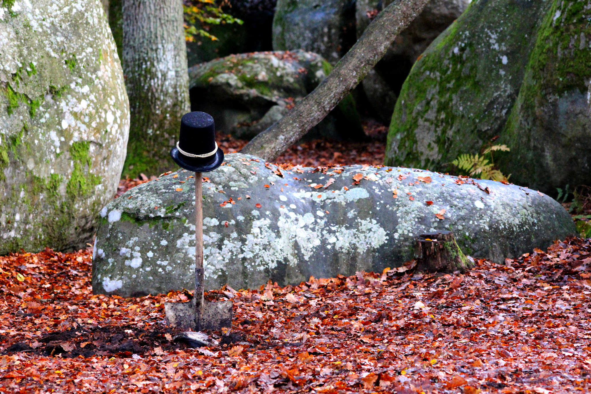 Canon EOS 650D (EOS Rebel T4i / EOS Kiss X6i) sample photo. Fontainebleau  photography