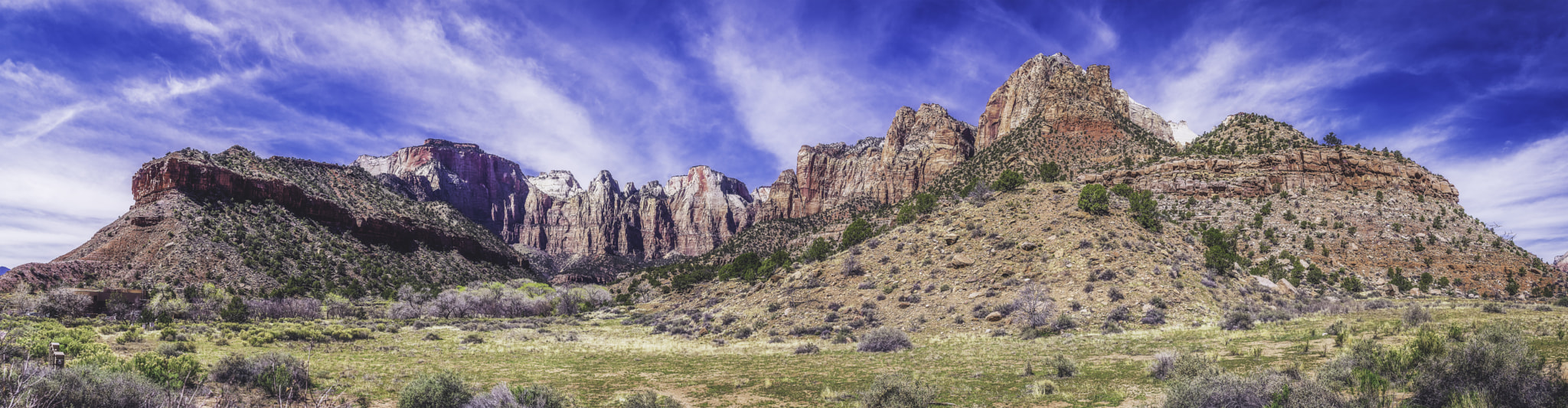 Sony a7R + Sony Vario Tessar T* FE 24-70mm F4 ZA OSS sample photo. Zion national park xx photography