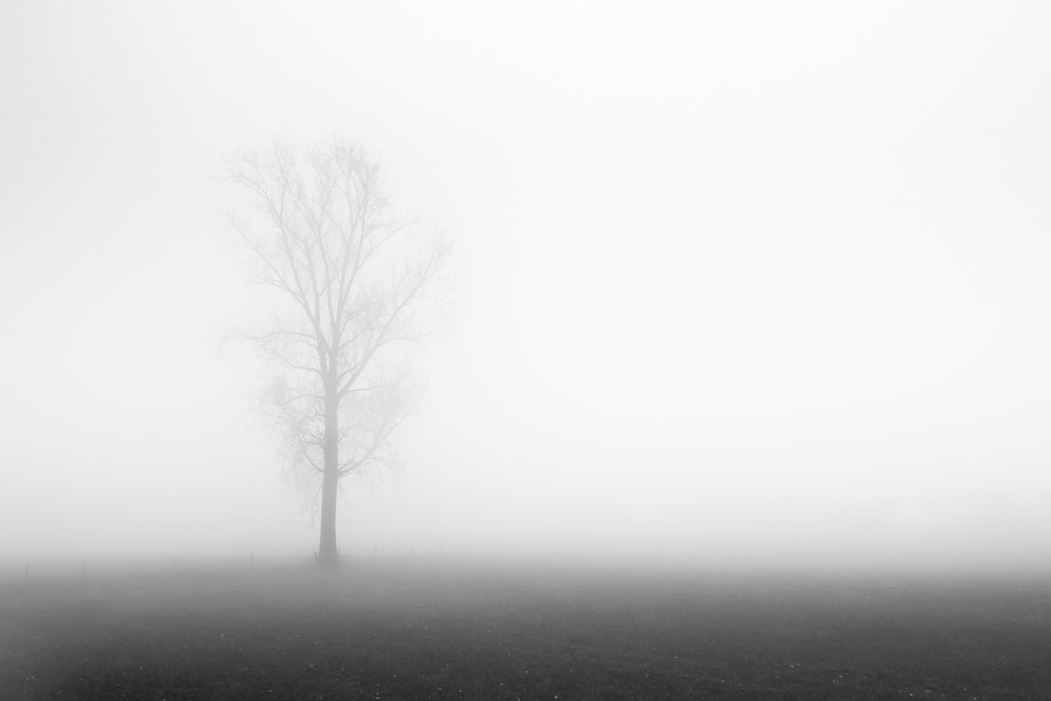 Canon EOS 60D sample photo. Minimalisme photography
