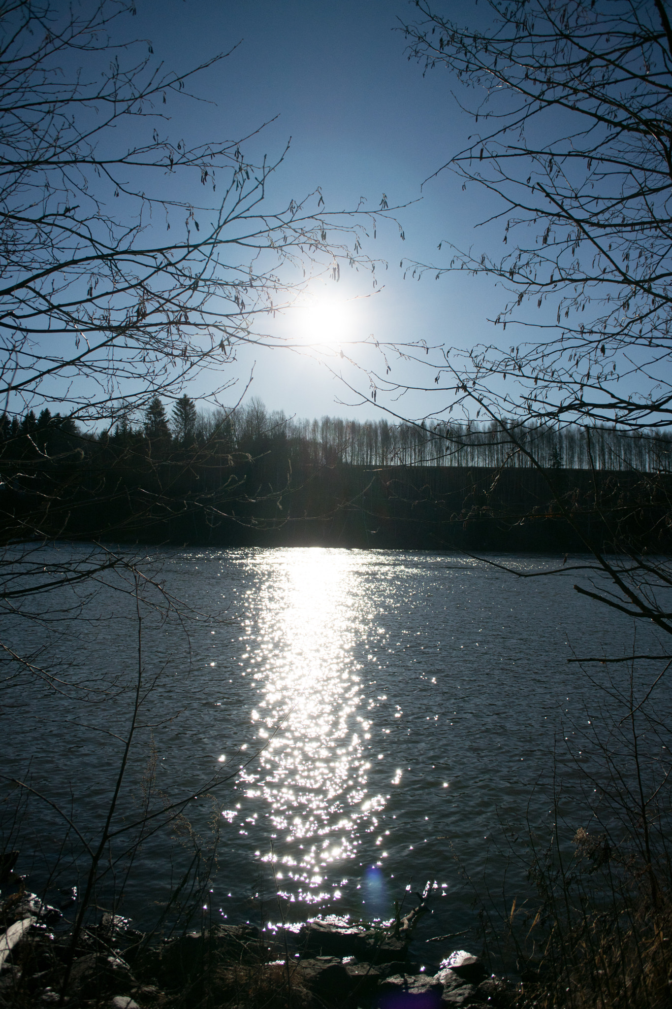 Nikon 1 J5 sample photo. Bingsfoss photography