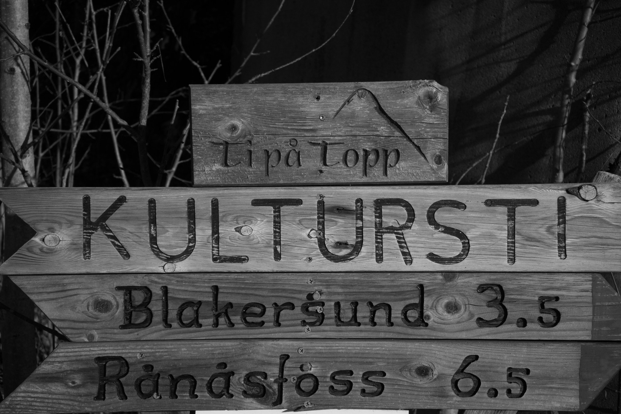 Nikon 1 J5 sample photo. Bingsfoss photography