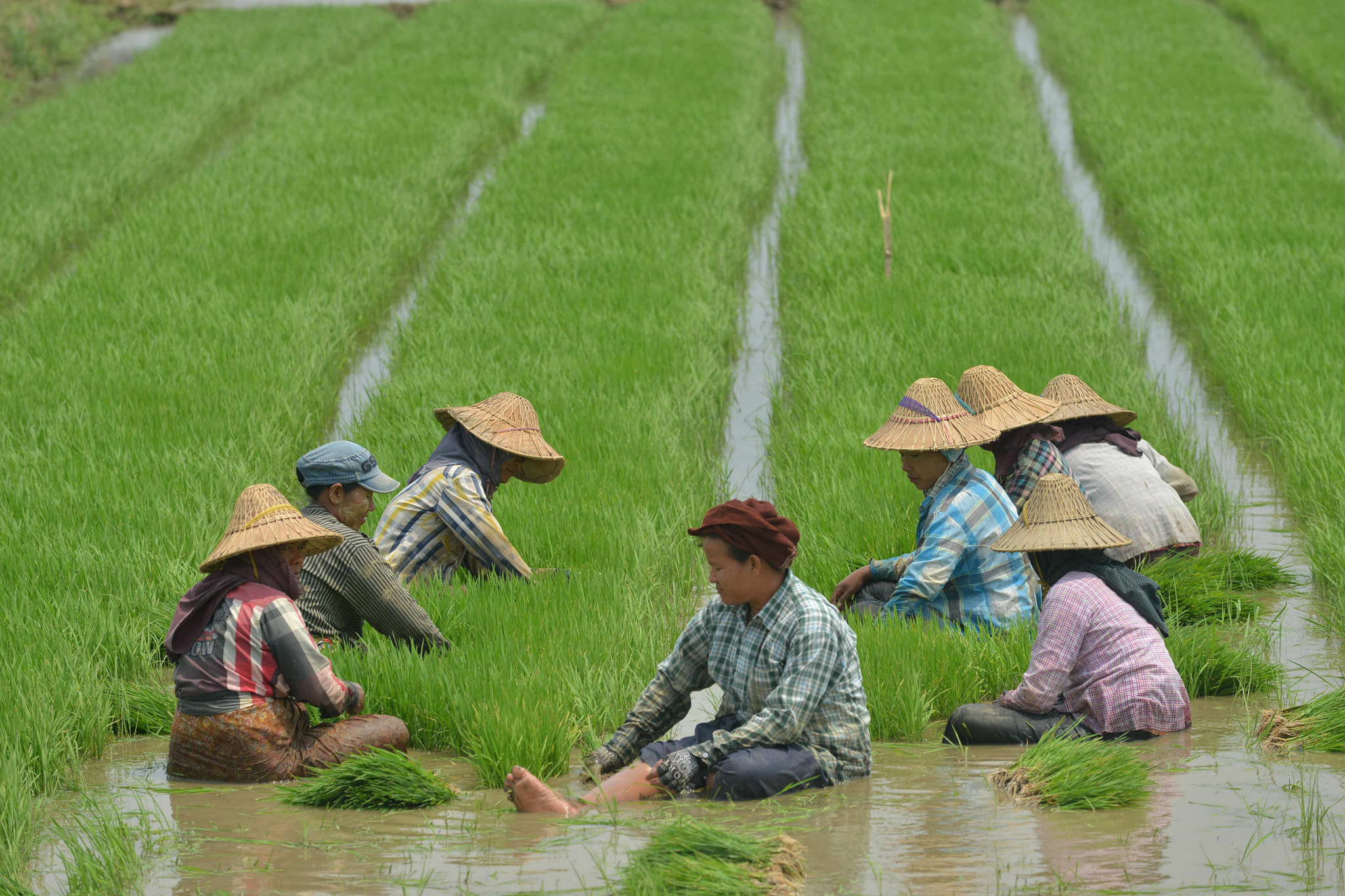 Nikon AF-S Nikkor 70-200mm F4G ED VR sample photo. Farmers photography