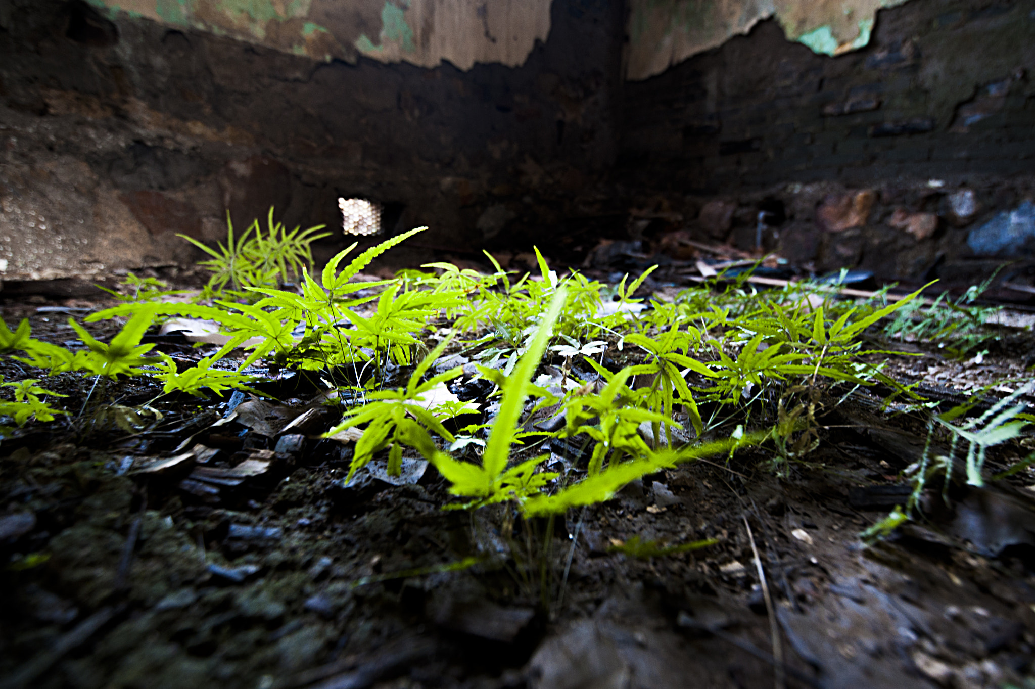 Tamron SP 15-30mm F2.8 Di VC USD sample photo. Deserted photography