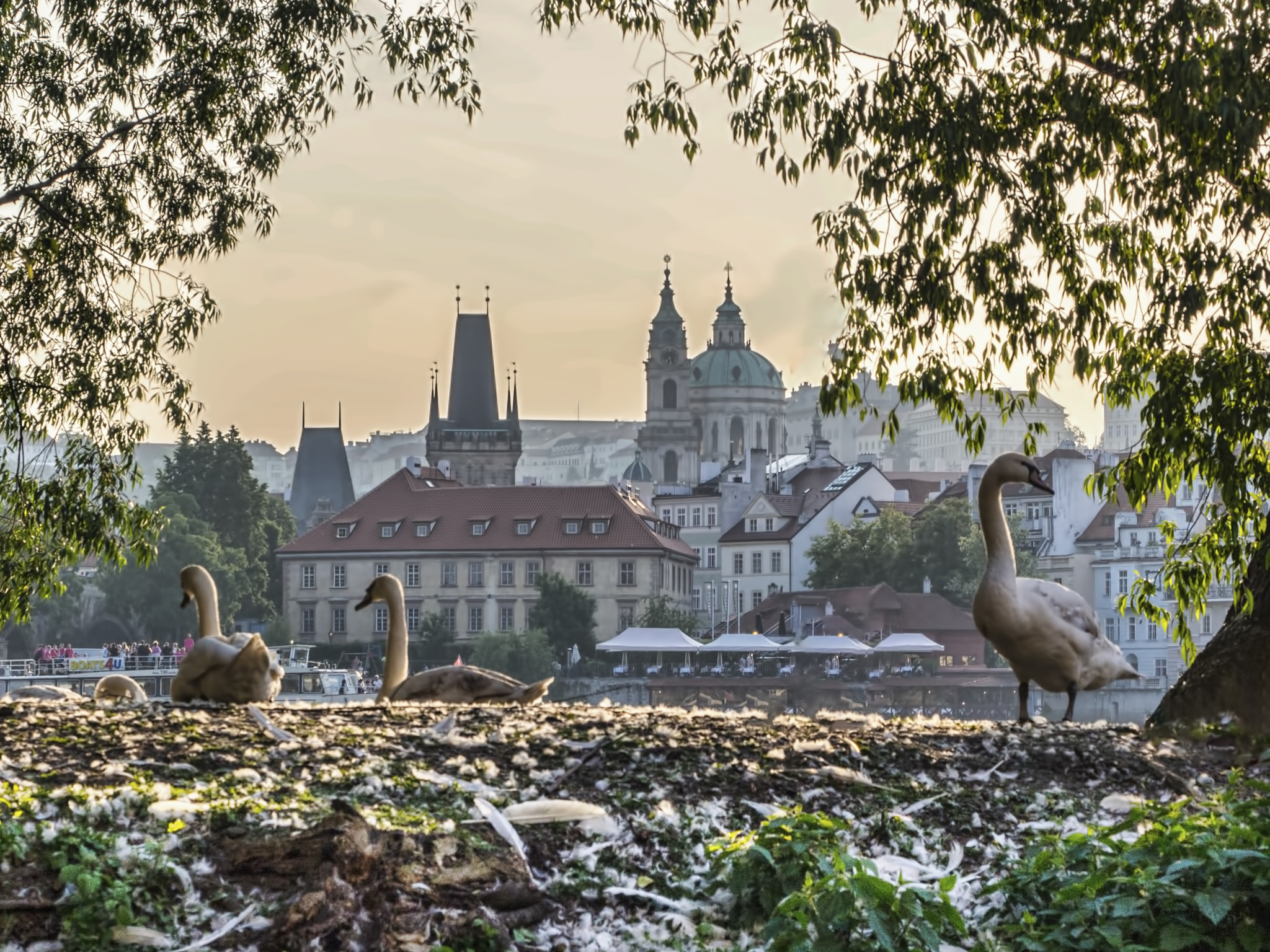 Olympus OM-D E-M10 sample photo. Prague photography