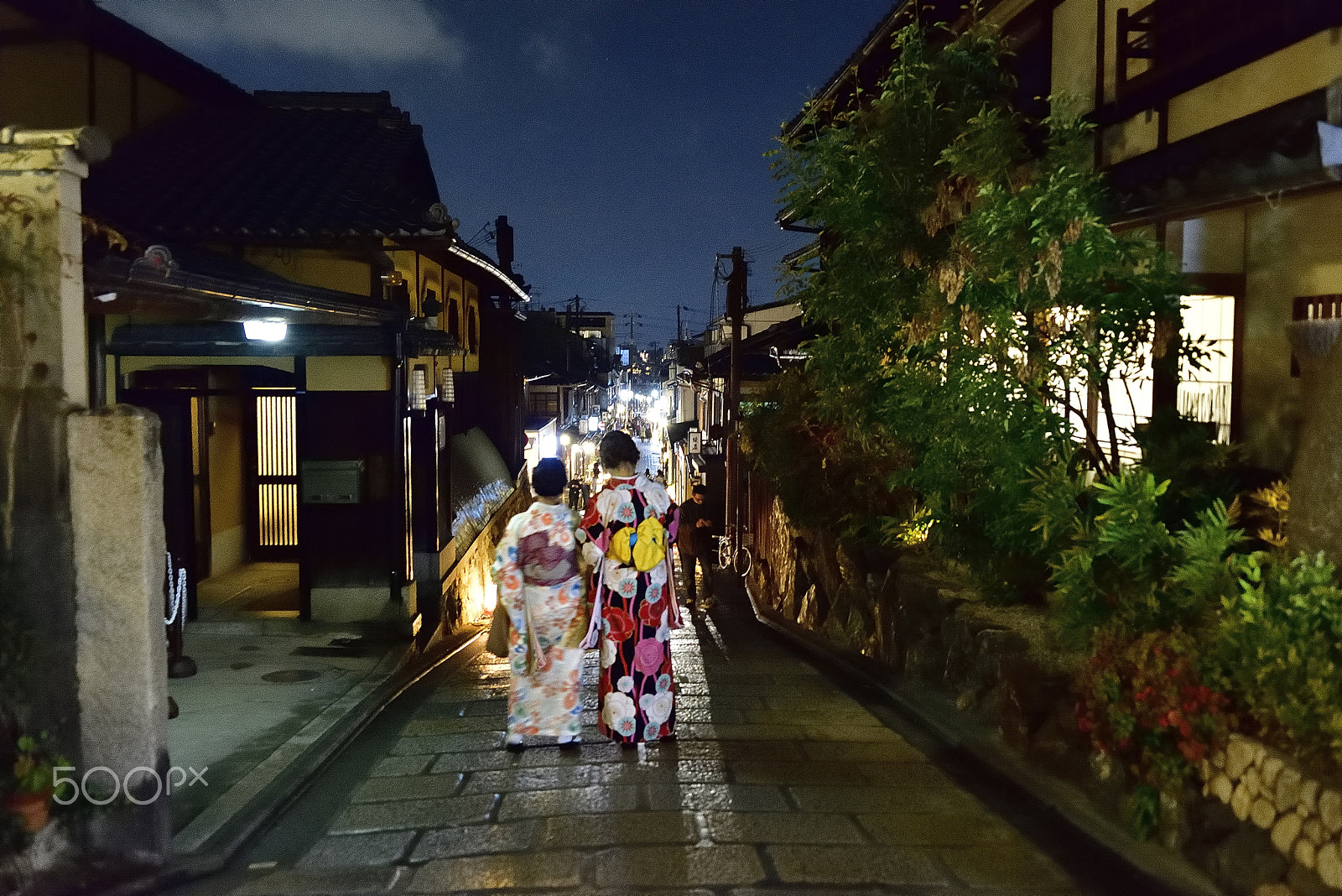Nikon D800E sample photo. Ancient kyoto night photography