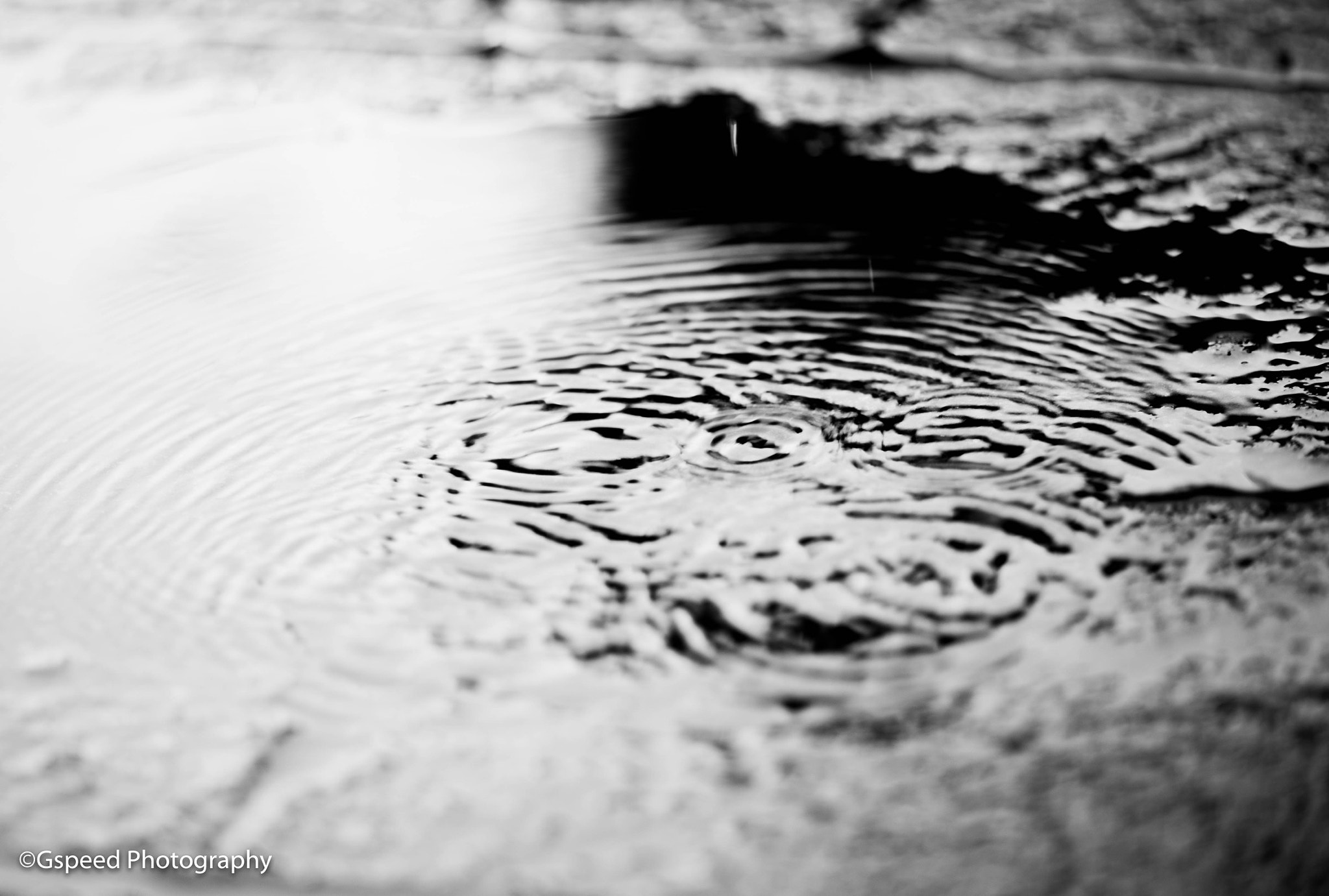 Nikon AF-S Micro-Nikkor 105mm F2.8G IF-ED VR sample photo. Water drops photography