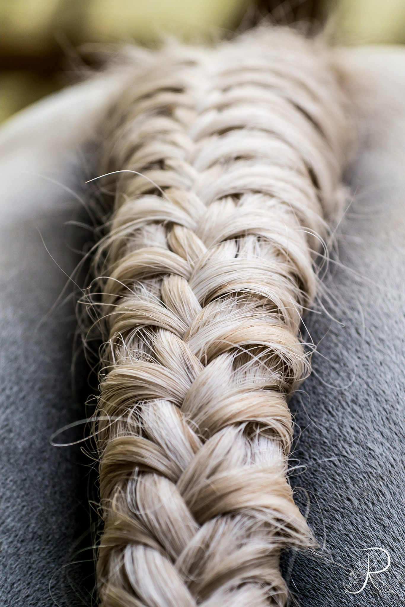 Sigma 60mm F2.8 DN Art sample photo. Butt braid photography