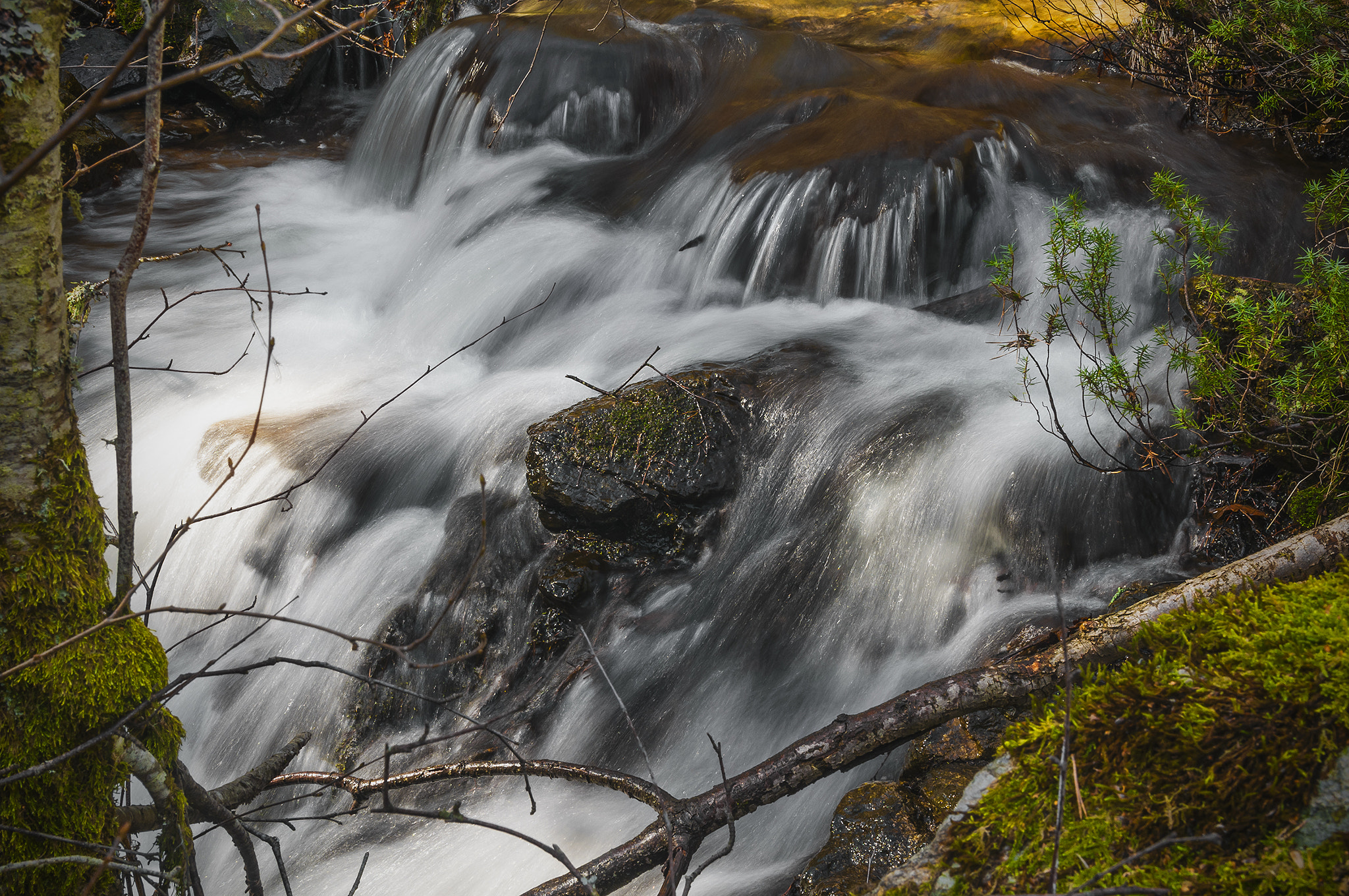 Sigma 17-50mm F2.8 EX DC OS HSM sample photo. Rio213324 photography