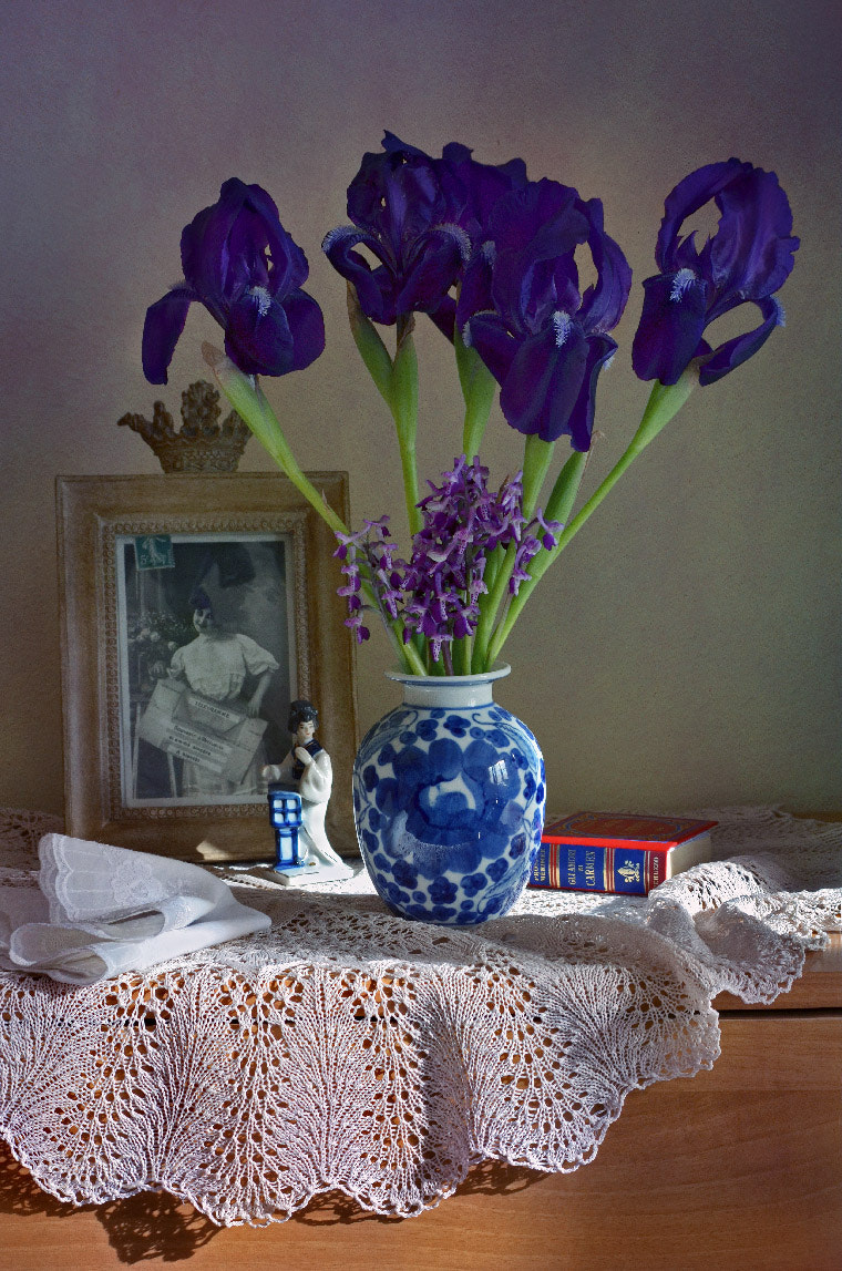 AF Zoom-Nikkor 35-80mm f/4-5.6D + 2x sample photo. With blue irises photography