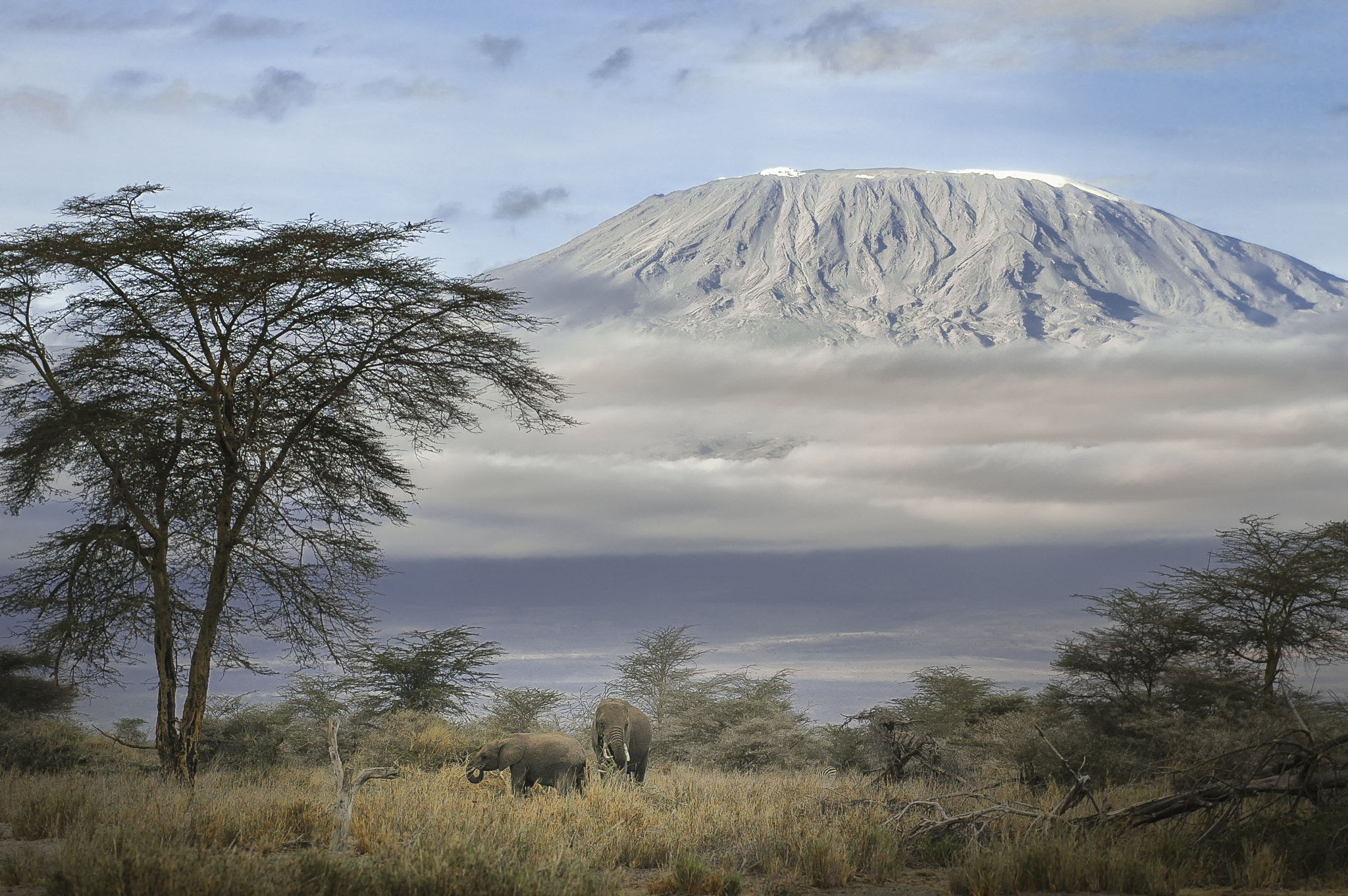 Nikon D70s + Sigma 70-200mm F2.8 EX DG OS HSM sample photo. Mt. kilimanjaro photography