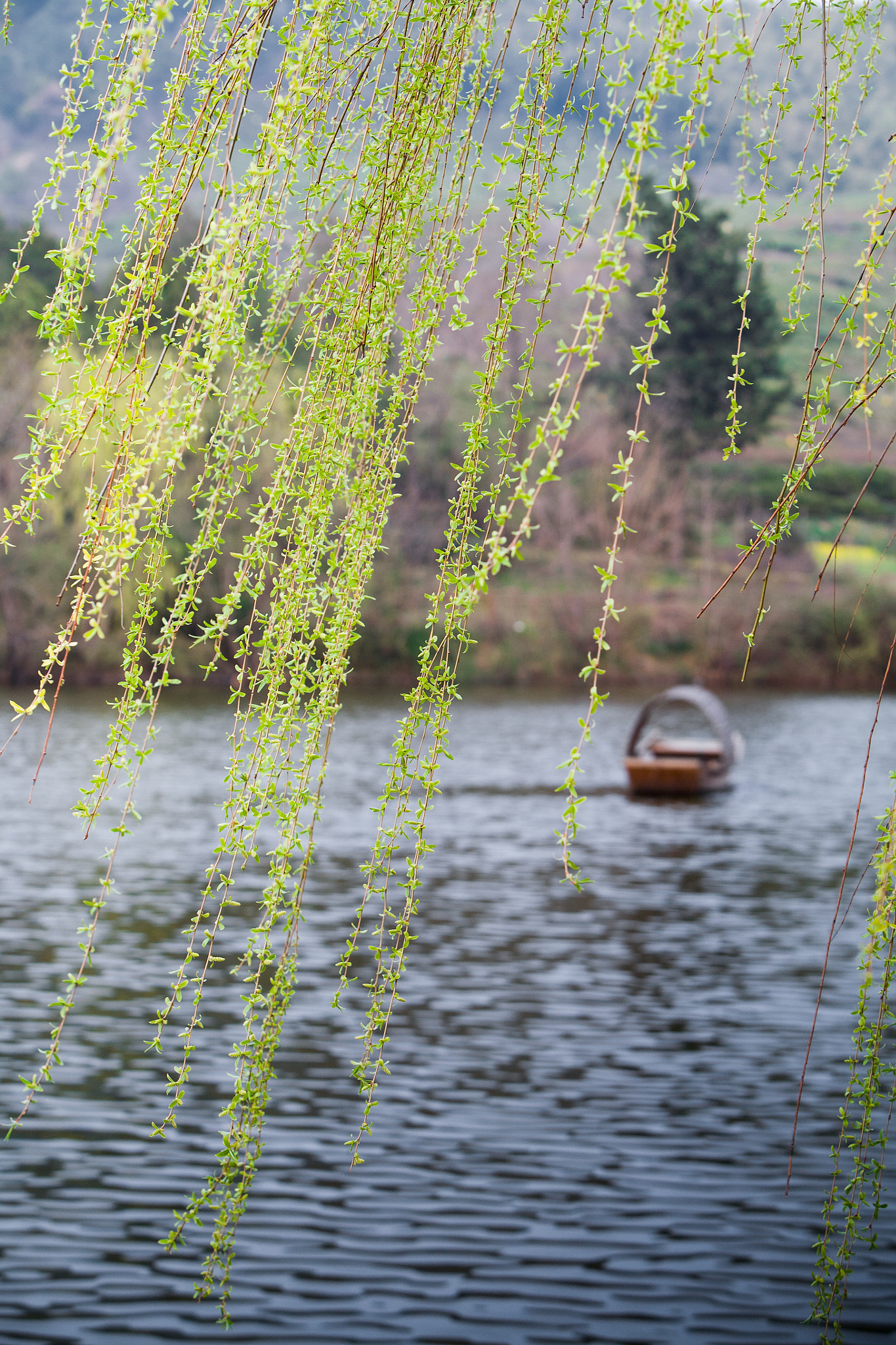 Canon EF 70-200mm F2.8L IS USM sample photo