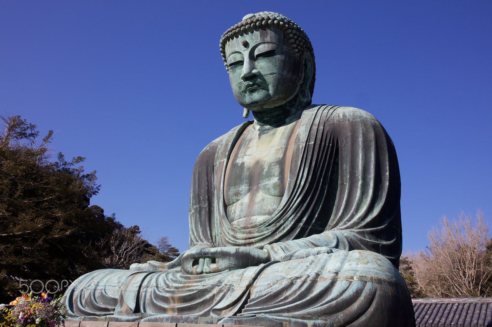 Canon EOS 5DS R + Canon EF 24-70mm F4L IS USM sample photo. Daibutsu at kamakura photography