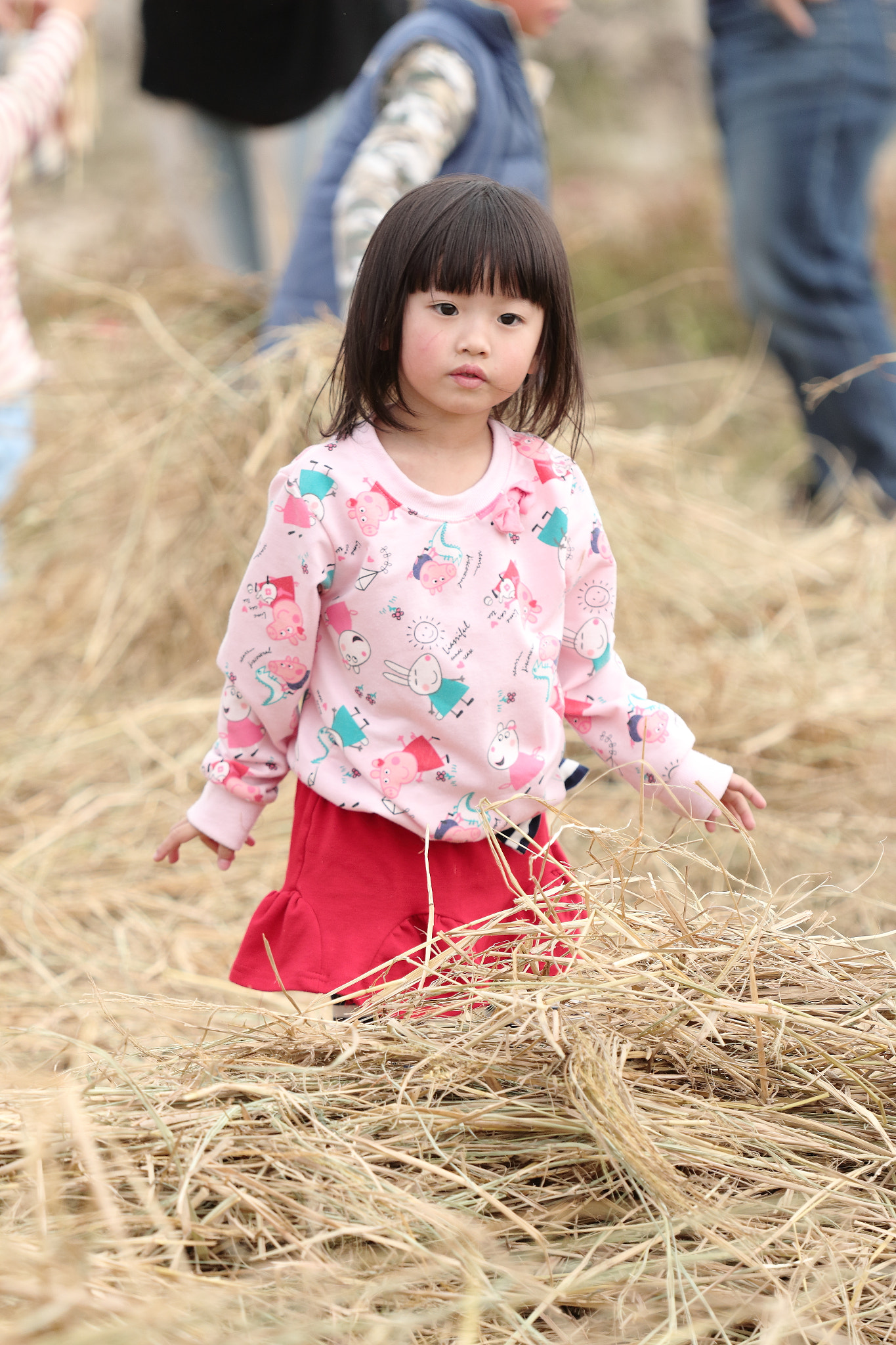 Canon EOS 70D + Canon EF 70-200mm F4L IS USM sample photo. Img_0900m 2017大雅小麥節 photography