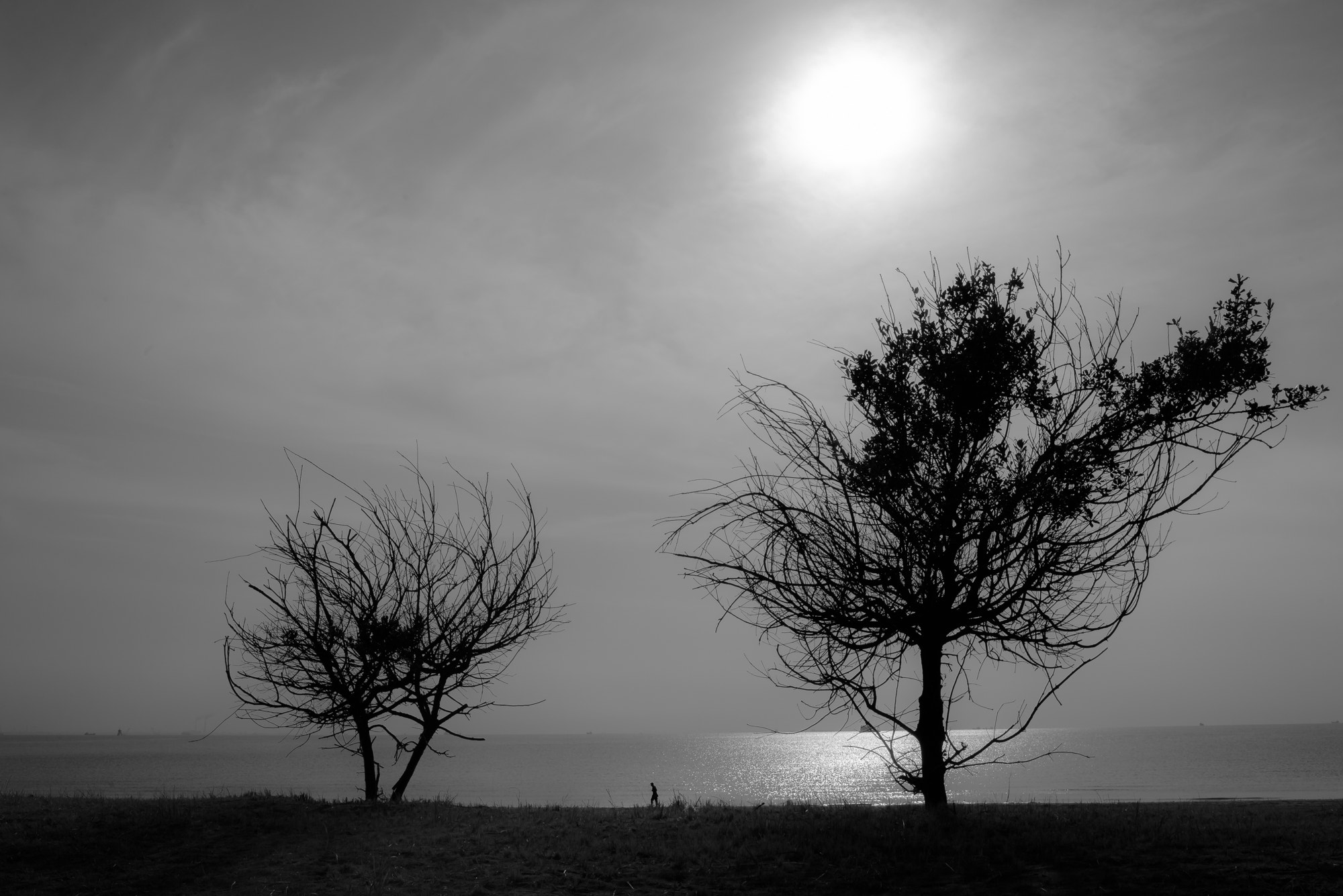 Nikon D800 sample photo. To the next photography