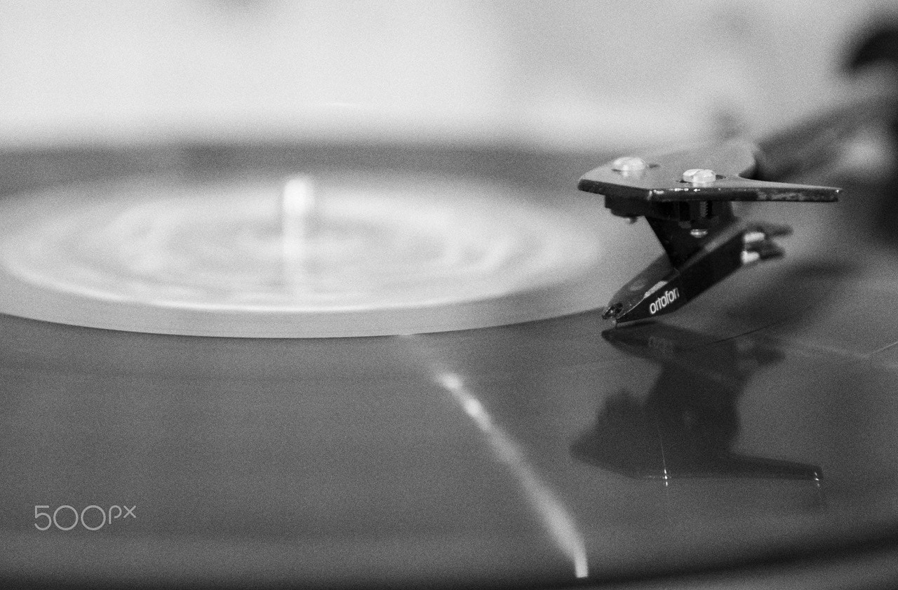Sigma 17-50mm F2.8 EX DC OS HSM sample photo. Music photography
