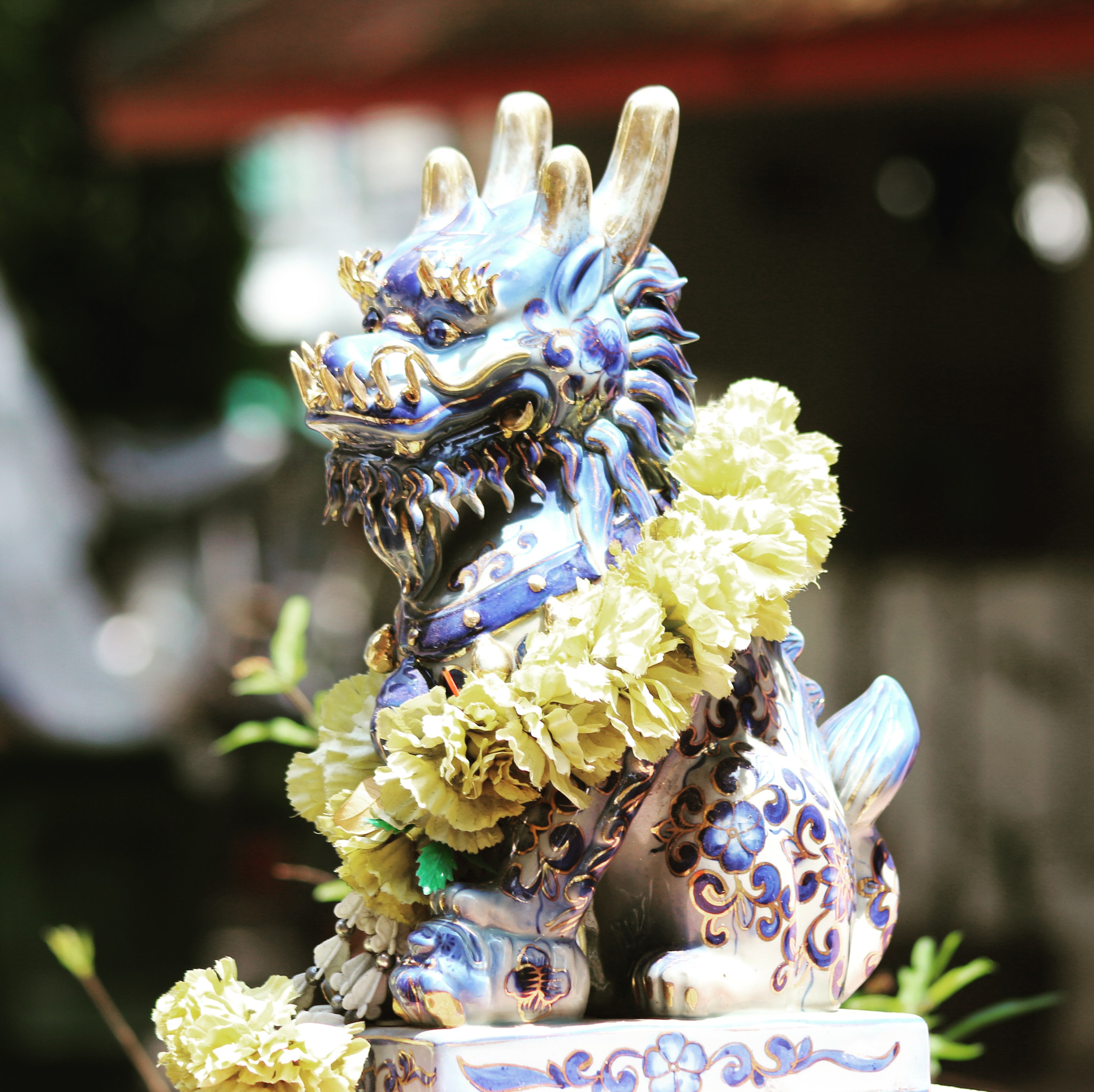 Canon EF 90-300mm F4.5-5.6 USM sample photo. Dragon photography