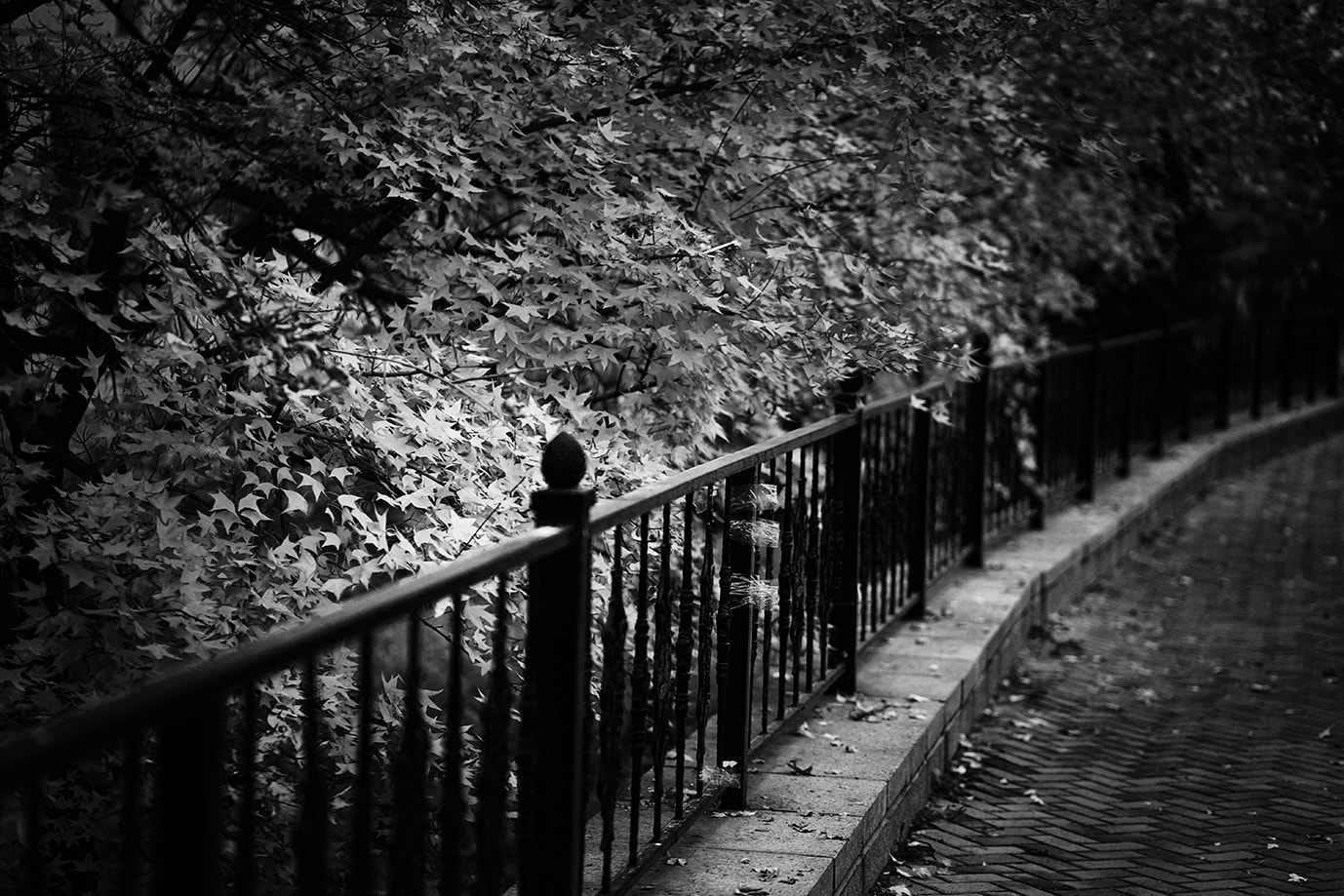 ZEISS Batis 85mm F1.8 sample photo. 小景 photography