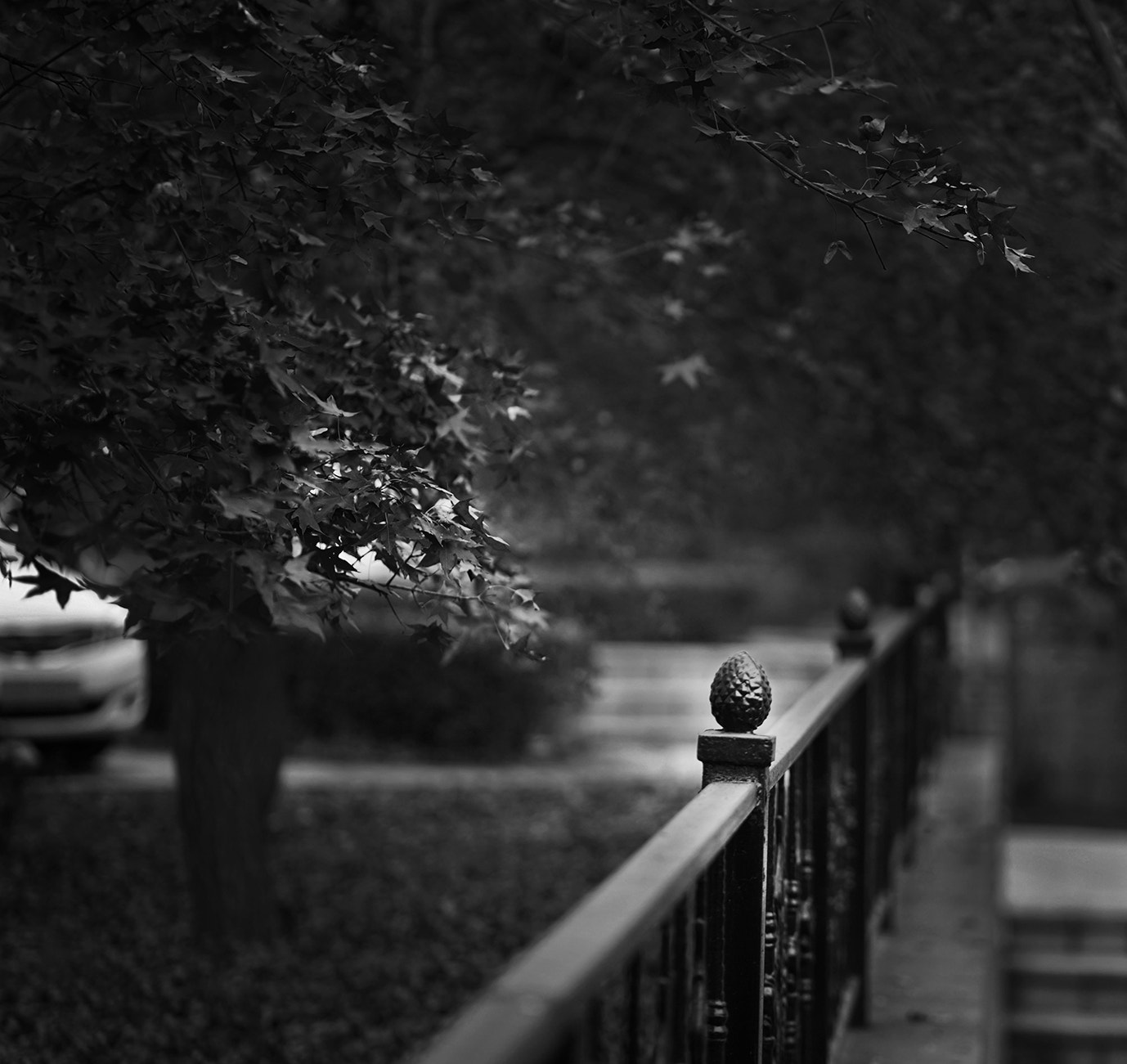 ZEISS Batis 85mm F1.8 sample photo. 小景 photography