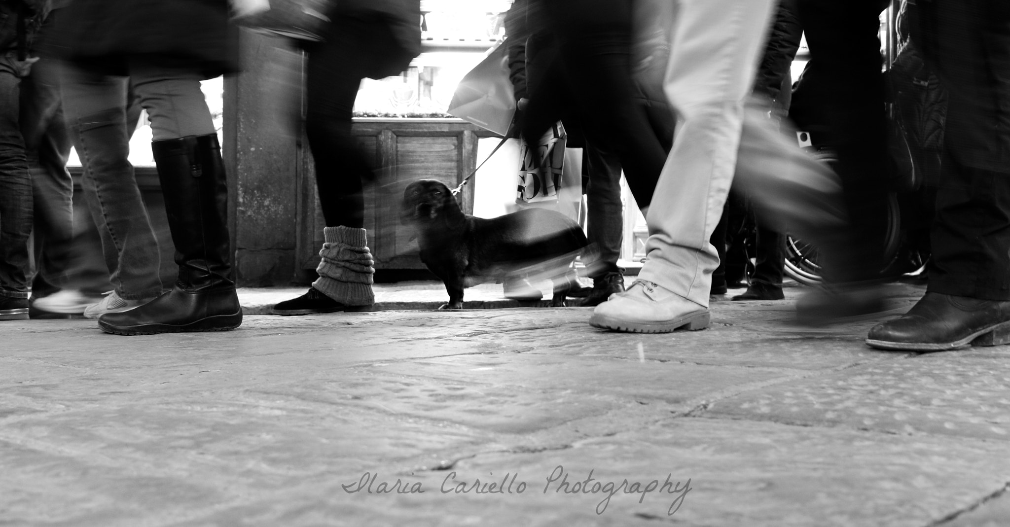 Canon EF-S 24mm F2.8 STM sample photo. Point of view. photography