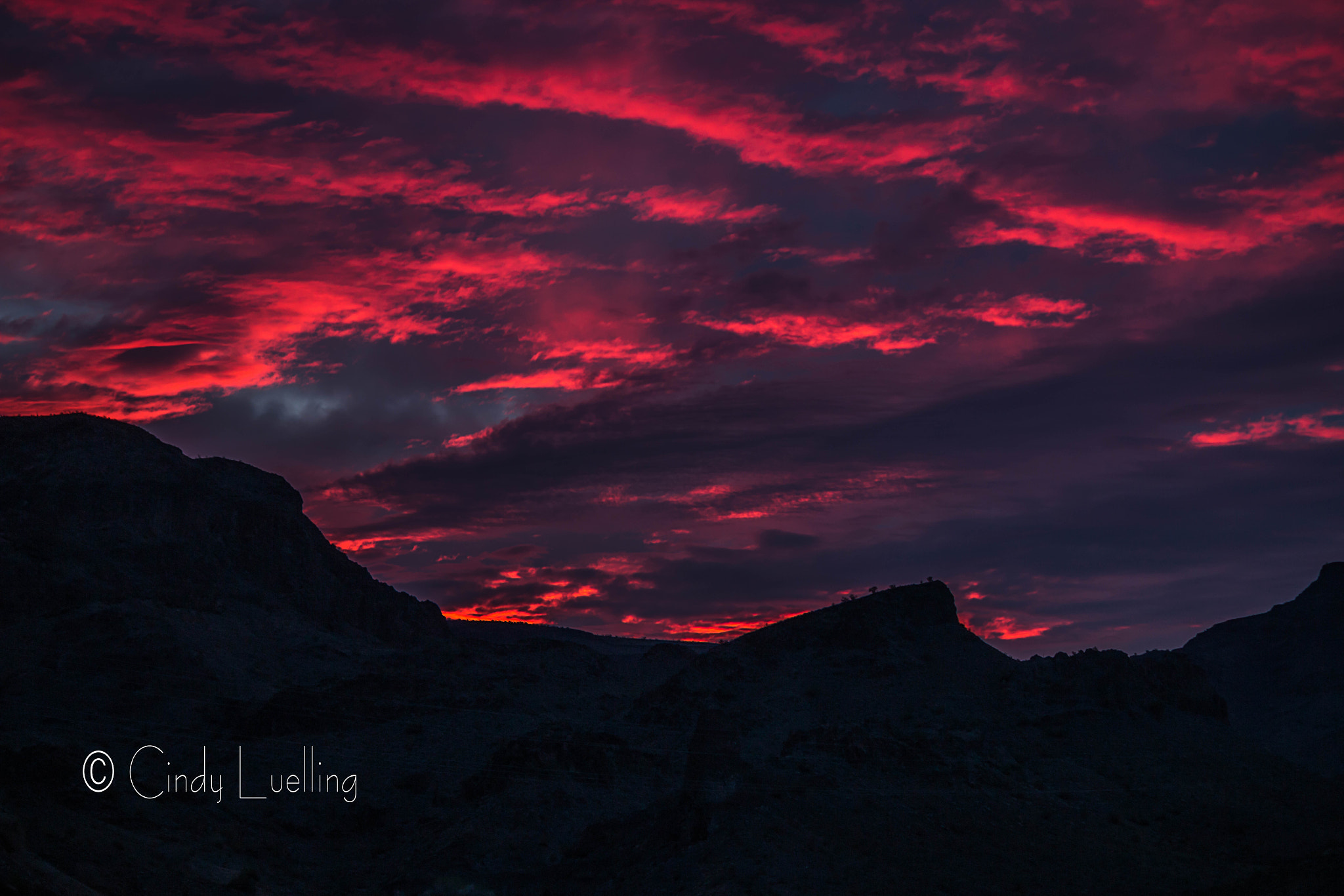 Canon EF-S 55-250mm F4-5.6 IS II sample photo. Recreated at every dawn, photography