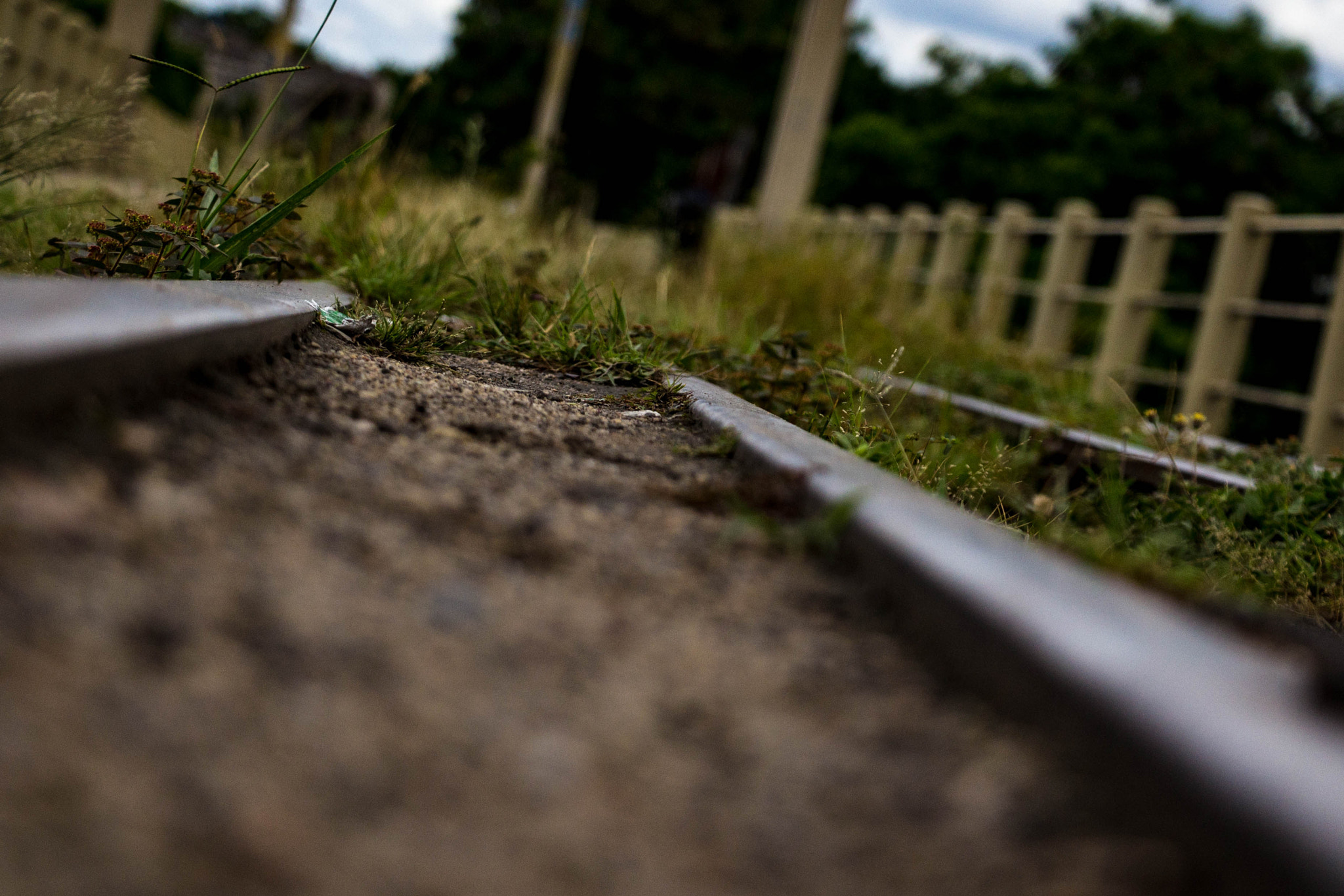 Canon EOS 60D sample photo