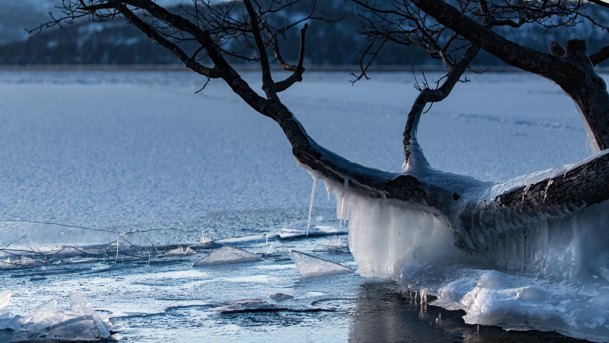 Nikon D800E sample photo. Freeze hard photography