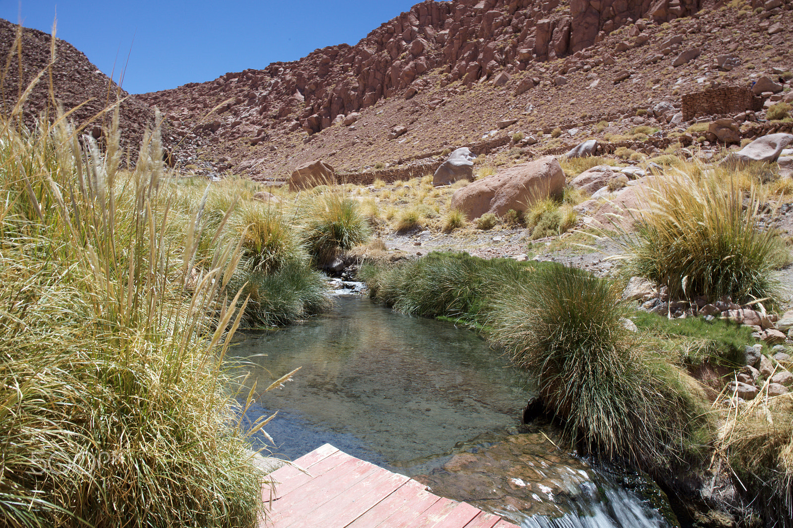 Canon EF 24-70mm F4L IS USM sample photo. Termas de puritama photography