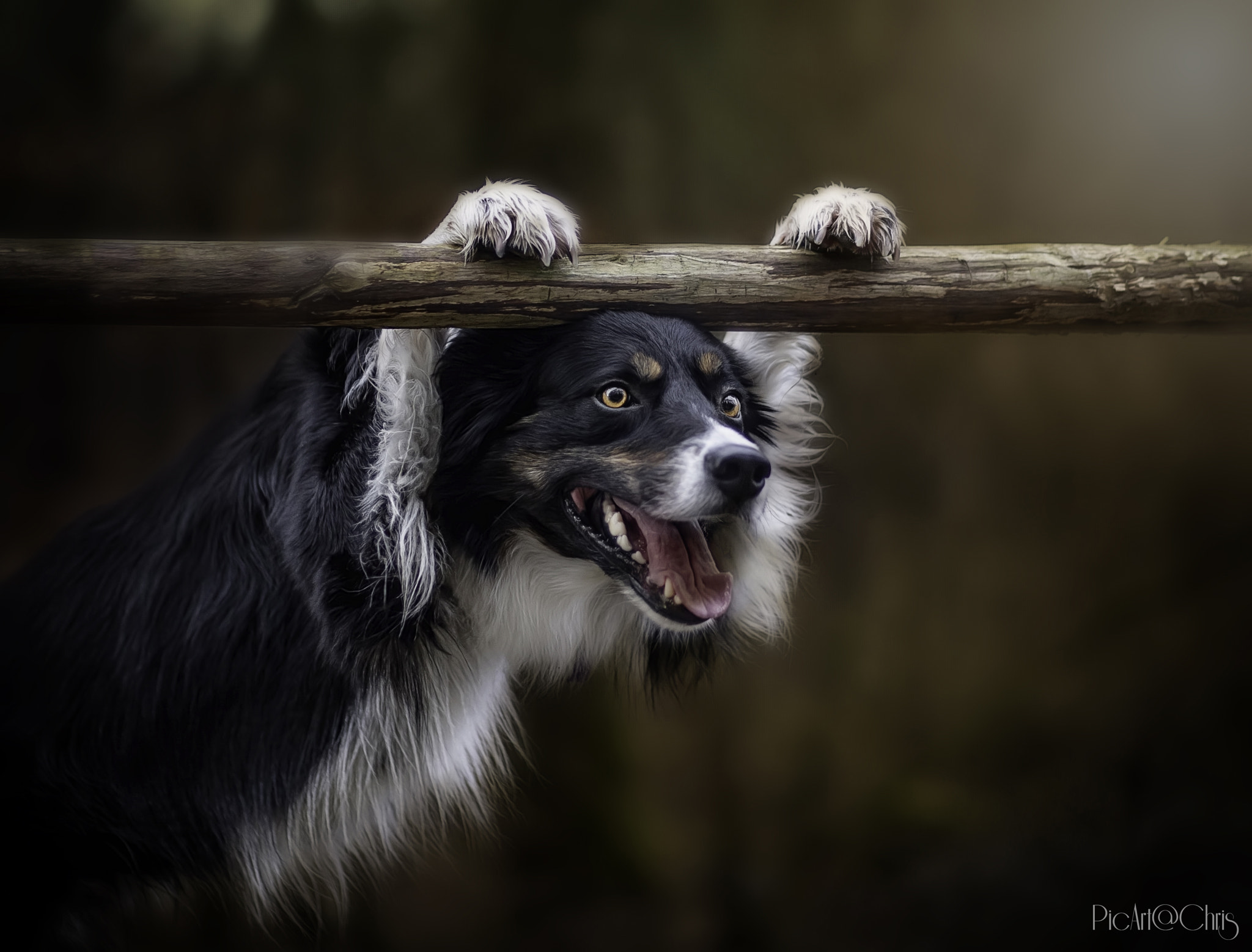 Canon EF 85mm F1.8 USM sample photo. The watcher photography
