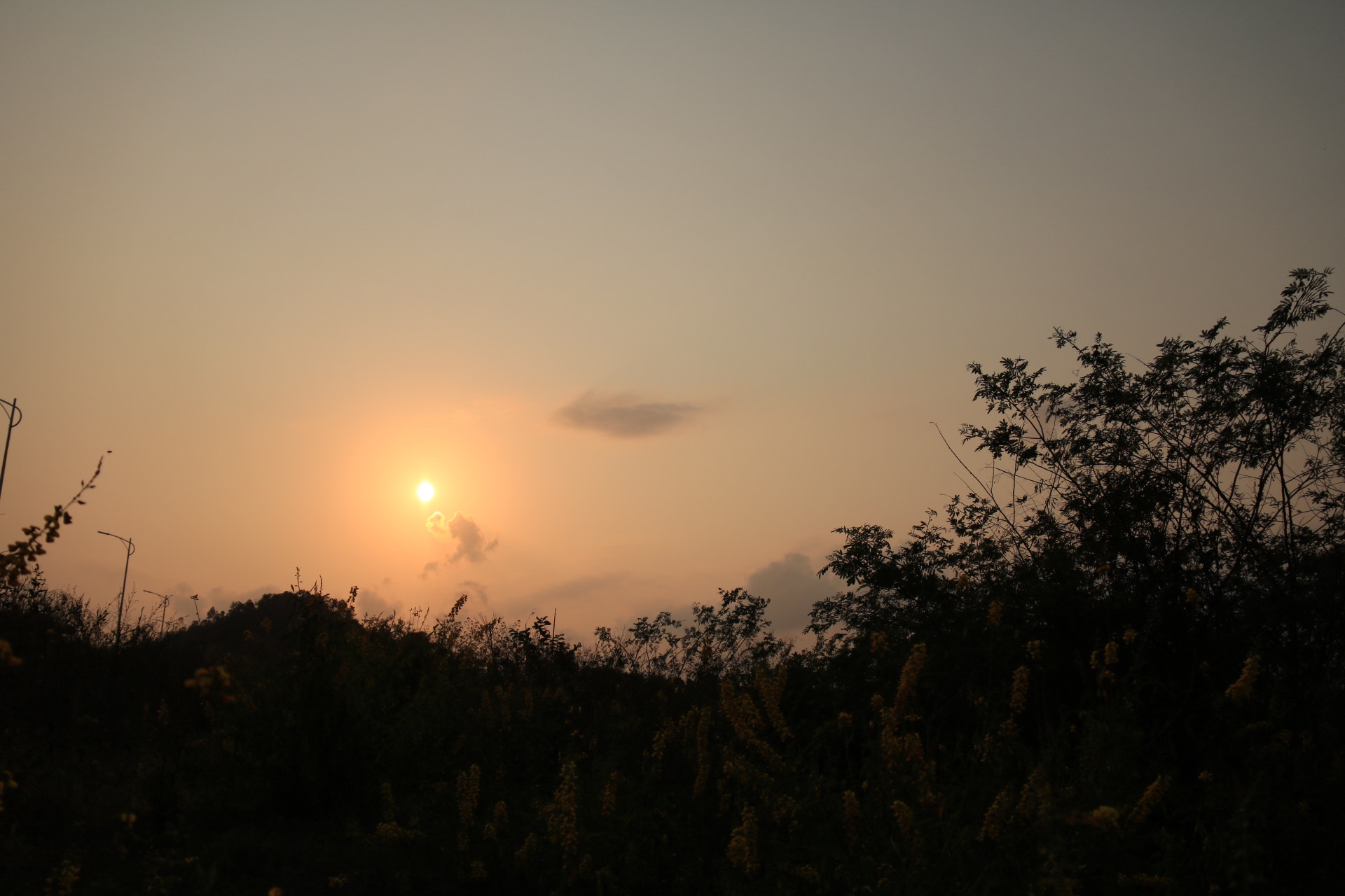 Canon EOS 760D (EOS Rebel T6s / EOS 8000D) sample photo