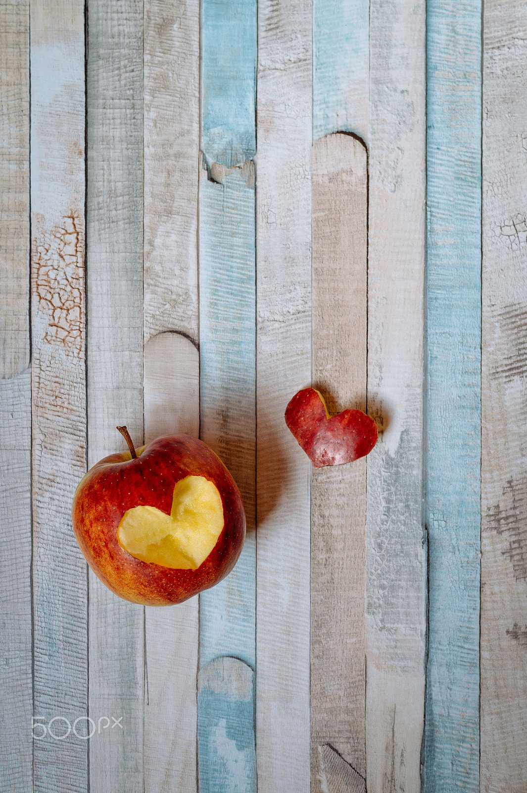 Sony DT 35mm F1.8 SAM sample photo. Love is everywhere and in everything photography