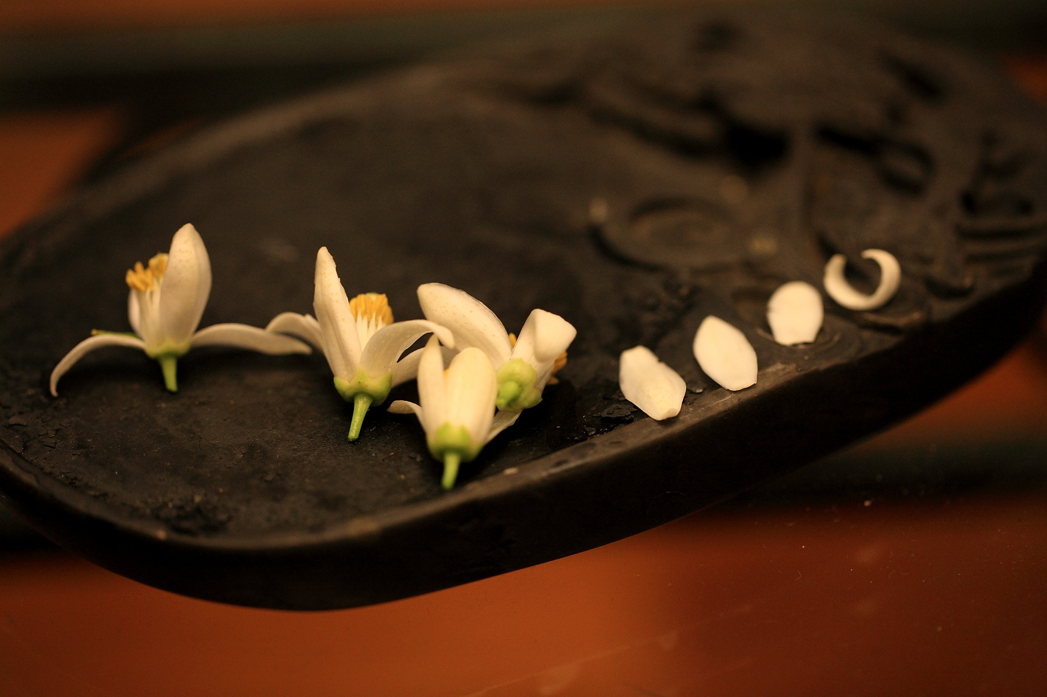 Canon EOS-1Ds Mark III sample photo. Simple photography