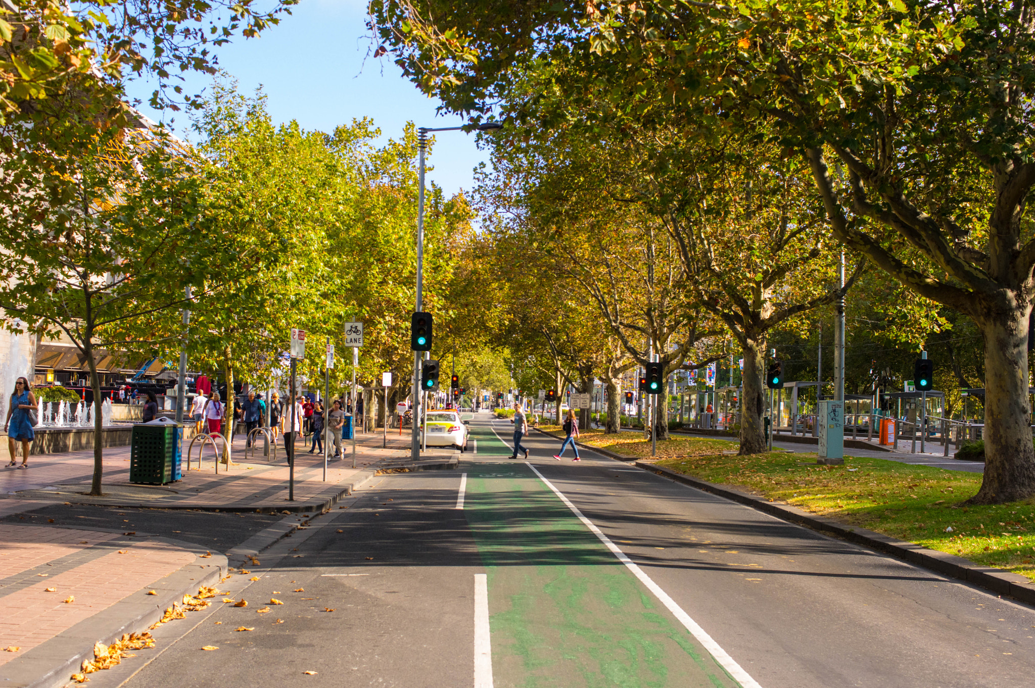 Pentax smc DA 35mm F2.8 Macro Limited sample photo. Melbourne in autumn photography