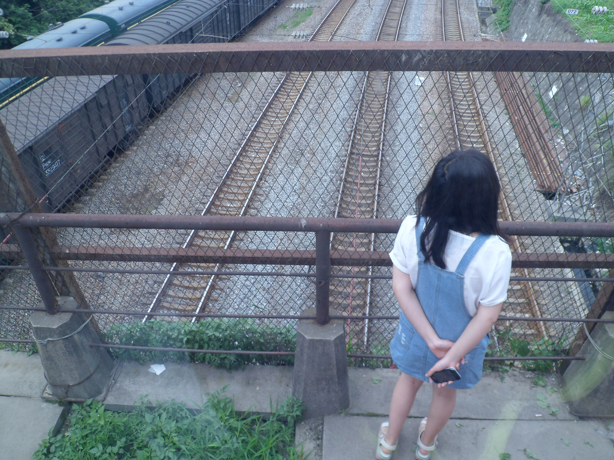 Samsung PL210, PL211 / VLUU PL210, PL211 sample photo. () photography