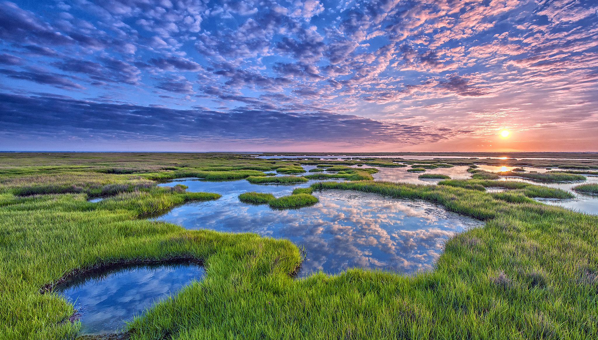 Nikon AF-S Nikkor 16-35mm F4G ED VR sample photo. Nj tidal wetlands photography