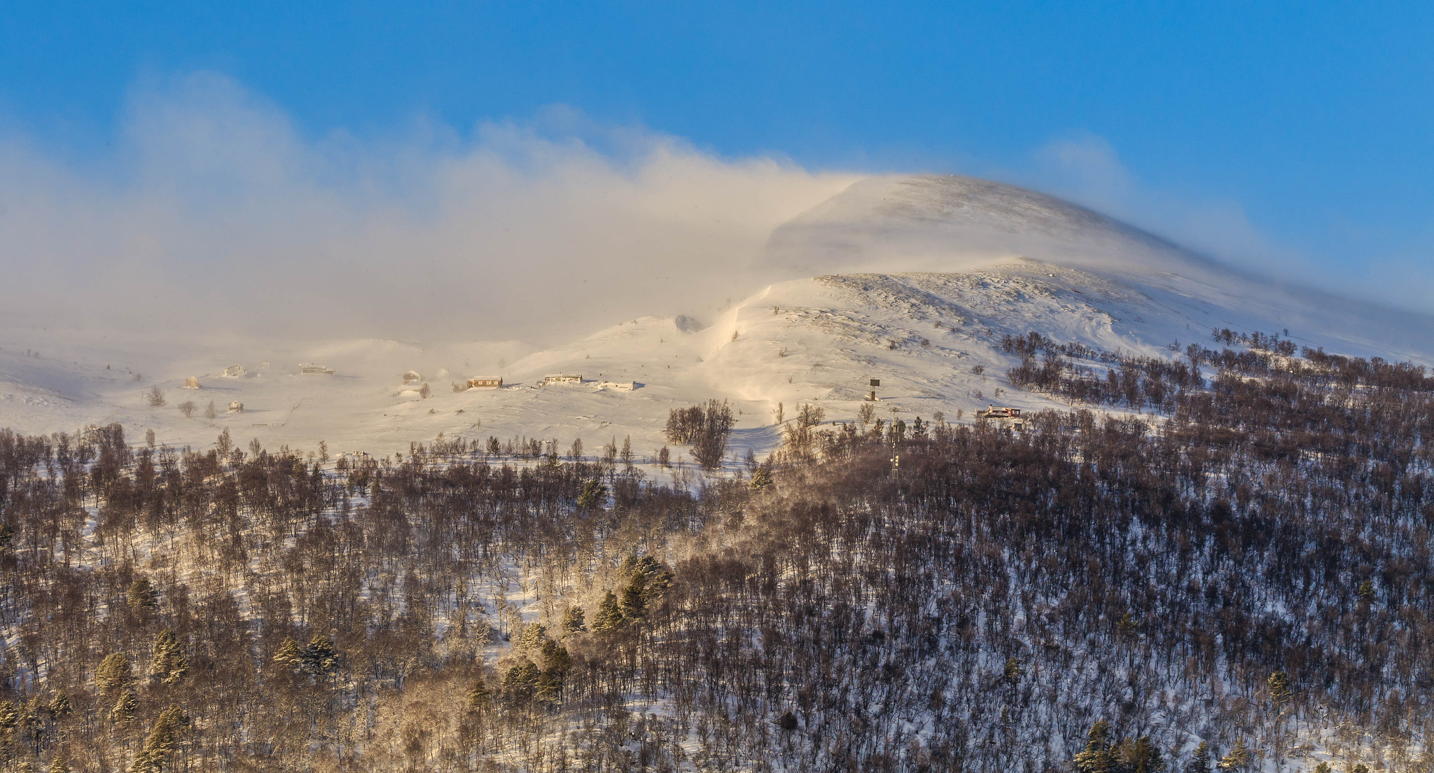 150-600mm F5-6.3 DG OS HSM | Contemporary 015 sample photo. In middle of a snowstorm. photography