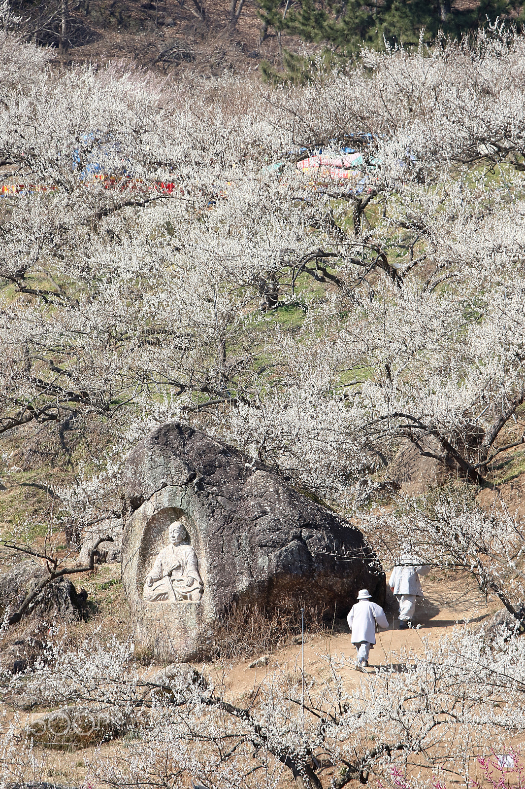 Canon EOS-1D Mark III sample photo. Two monks in the spring. photography