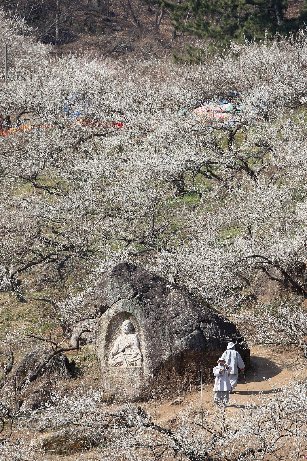 Canon EOS-1D Mark III sample photo. Two monks in the spring. photography