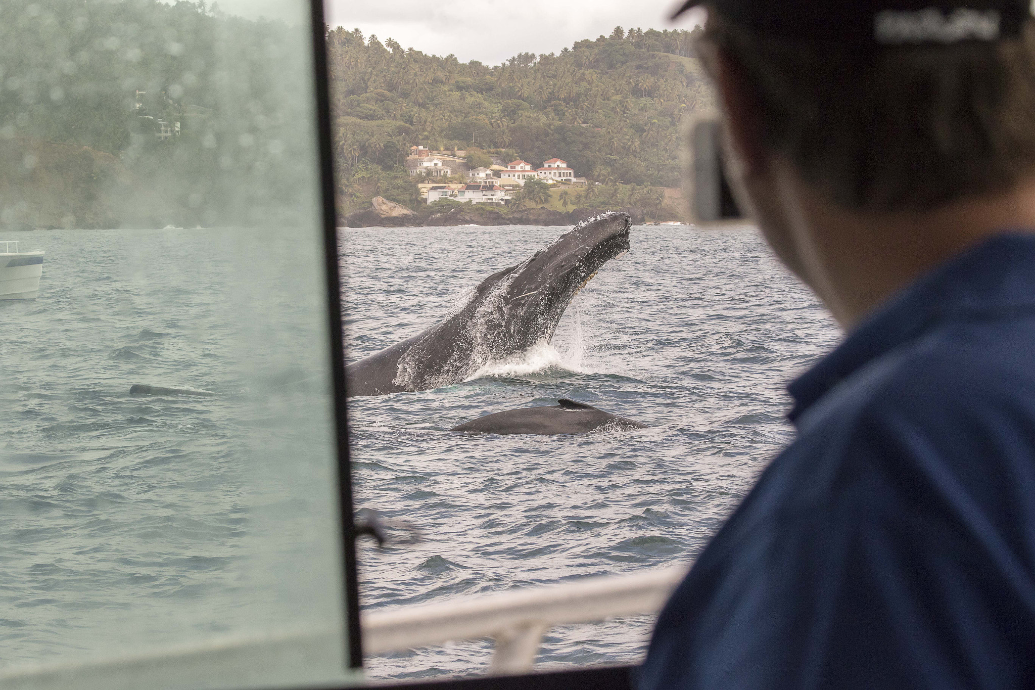 Canon EF 70-300mm F4-5.6 IS USM sample photo. Whale watching photography
