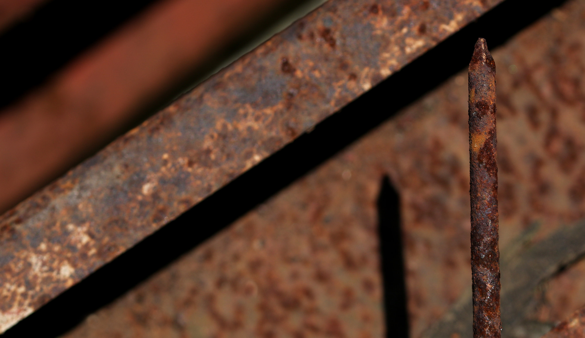 Sigma 105mm F2.8 EX DG OS HSM sample photo. Shadows and textures photography