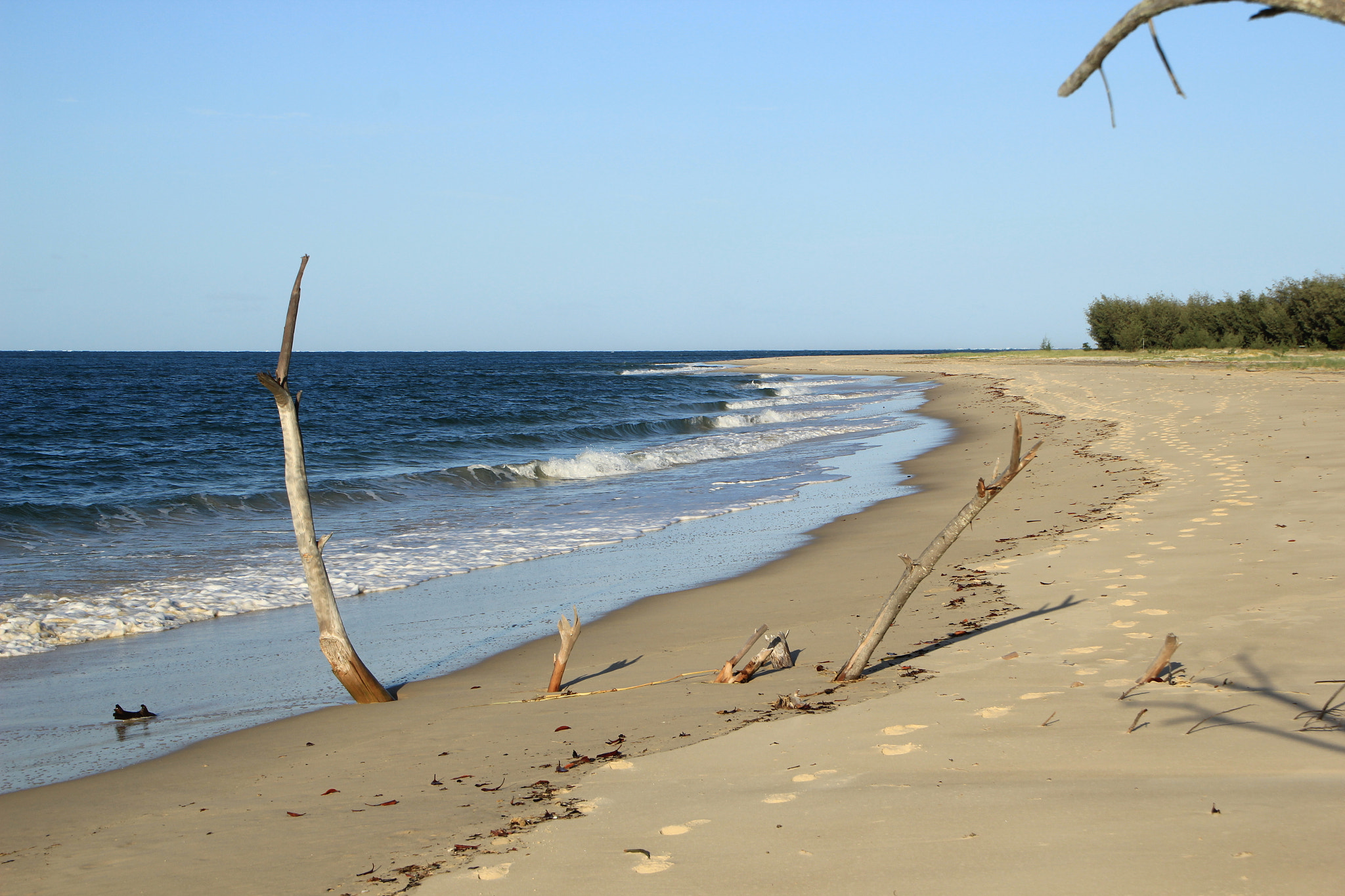 Canon EOS 60D sample photo. Inskip point photography
