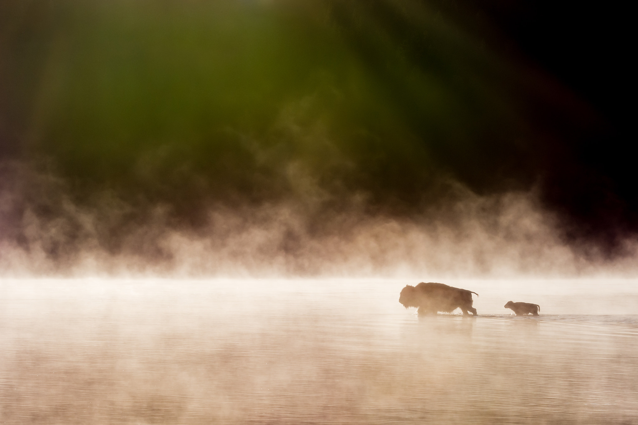Nikon AF-S Nikkor 70-200mm F2.8G ED VR II sample photo. The crossing photography