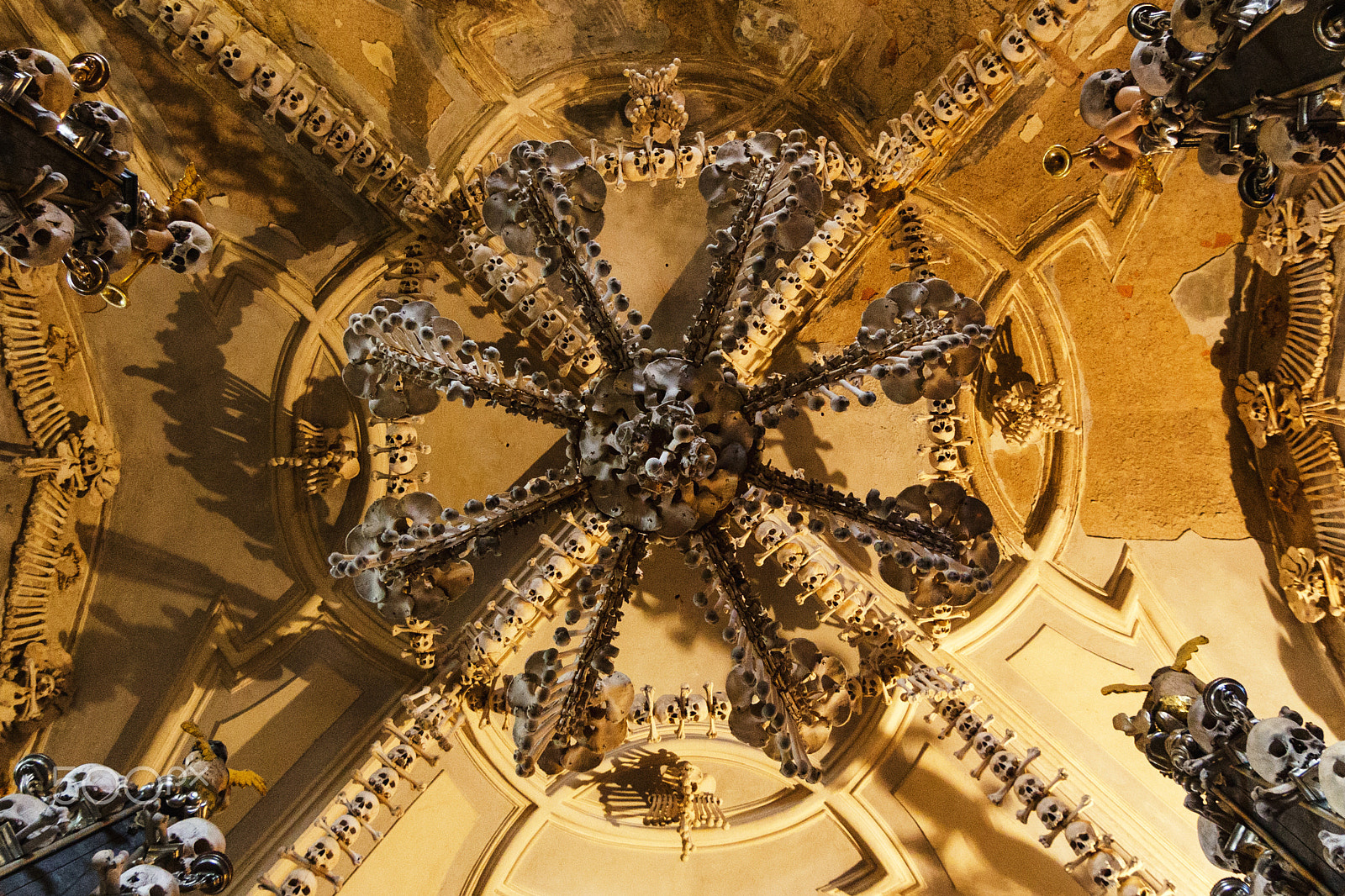 Tokina AT-X Pro 11-16mm F2.8 DX sample photo. Bone chandelier photography