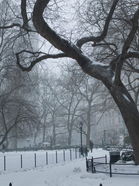 Hasselblad H3D + HC 80 sample photo. Flatiron building photography