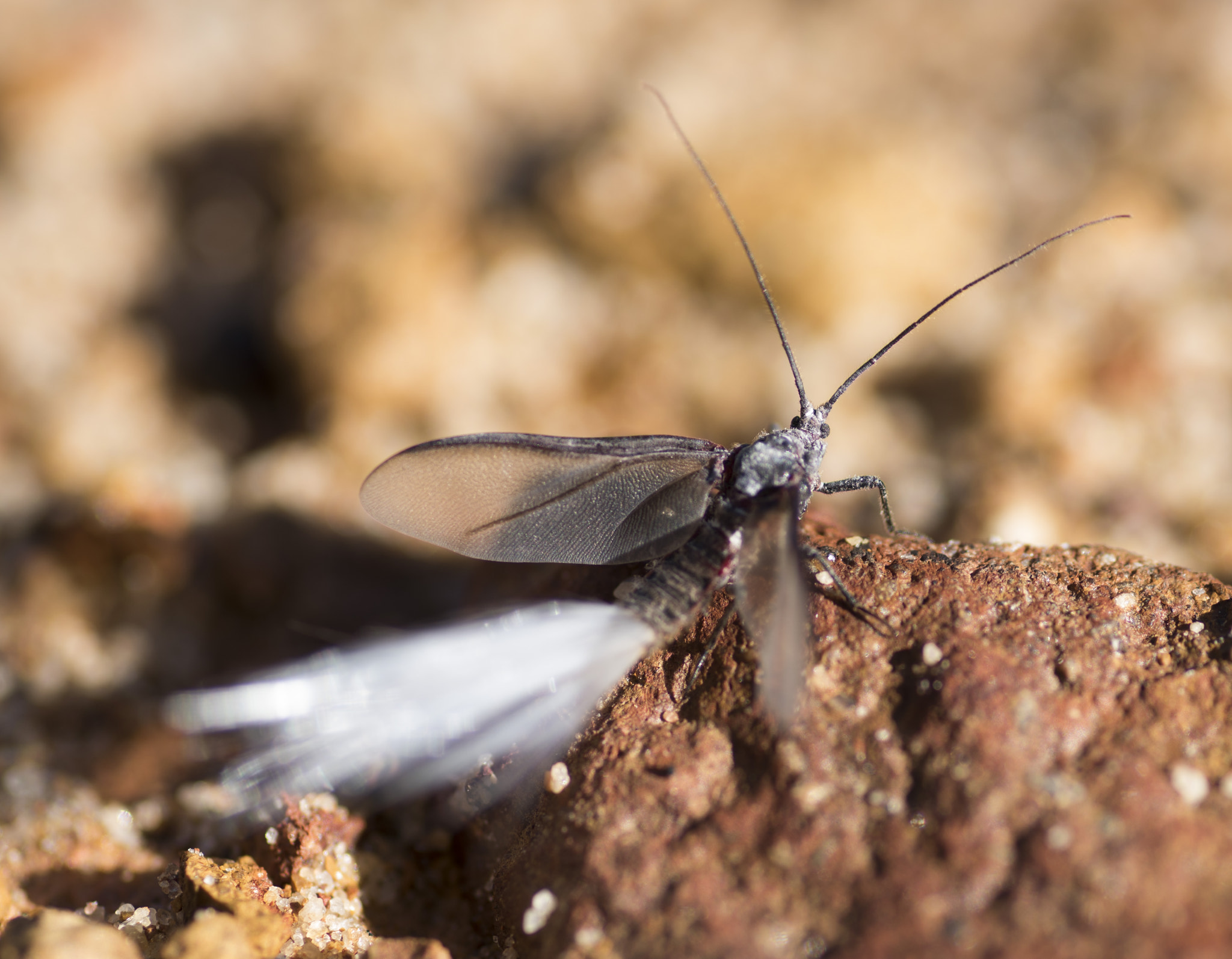 Nikon D810 sample photo. Unseen beauty of western australia photography