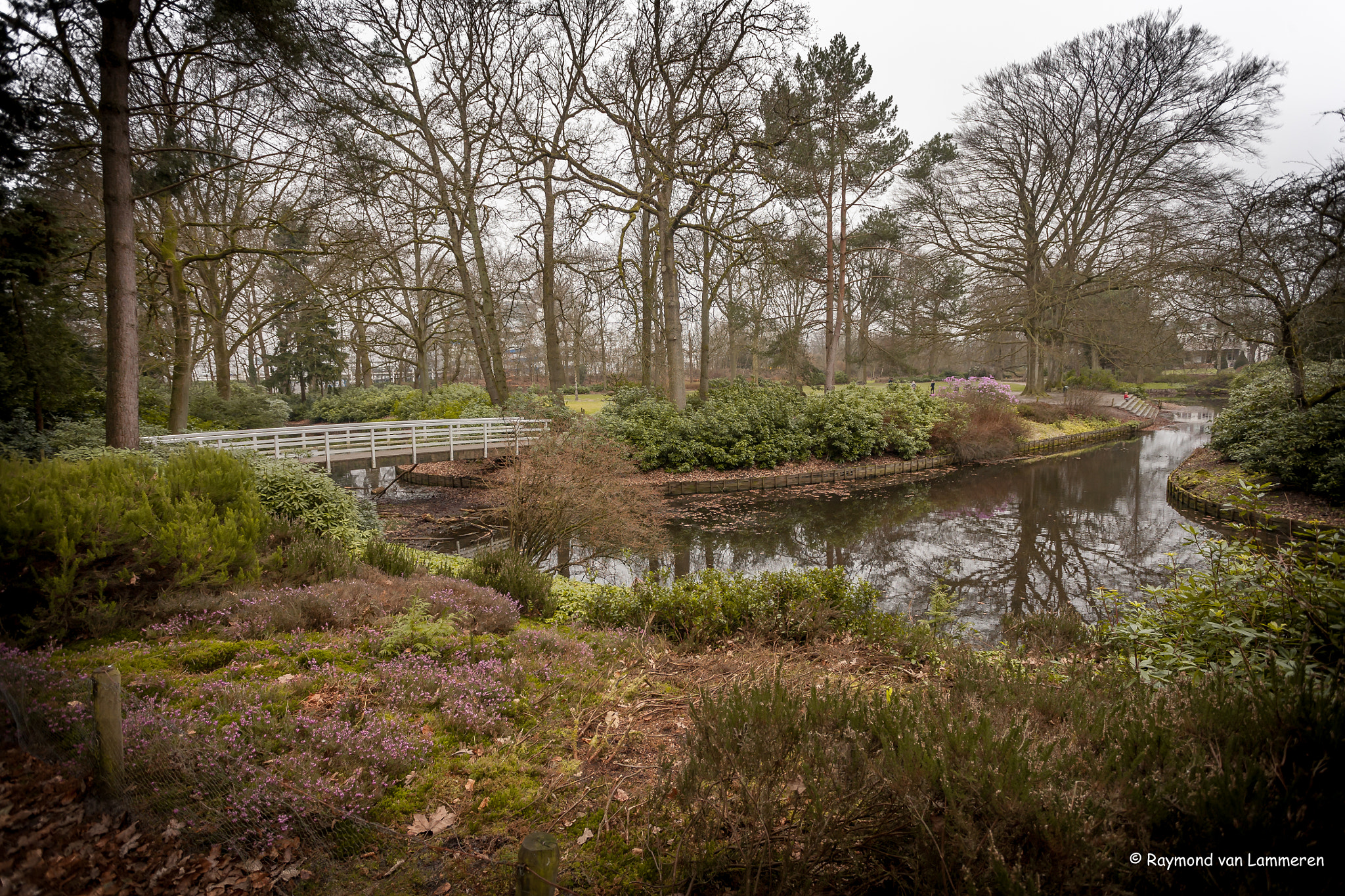 Canon EOS 5D + Canon EF 17-40mm F4L USM sample photo. Forest garden photography