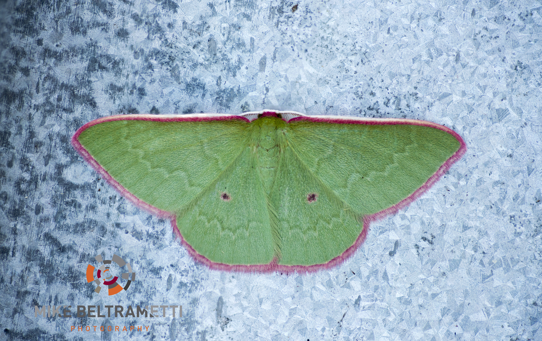 Nikon D810 sample photo. Unseen beauty of western australia photography