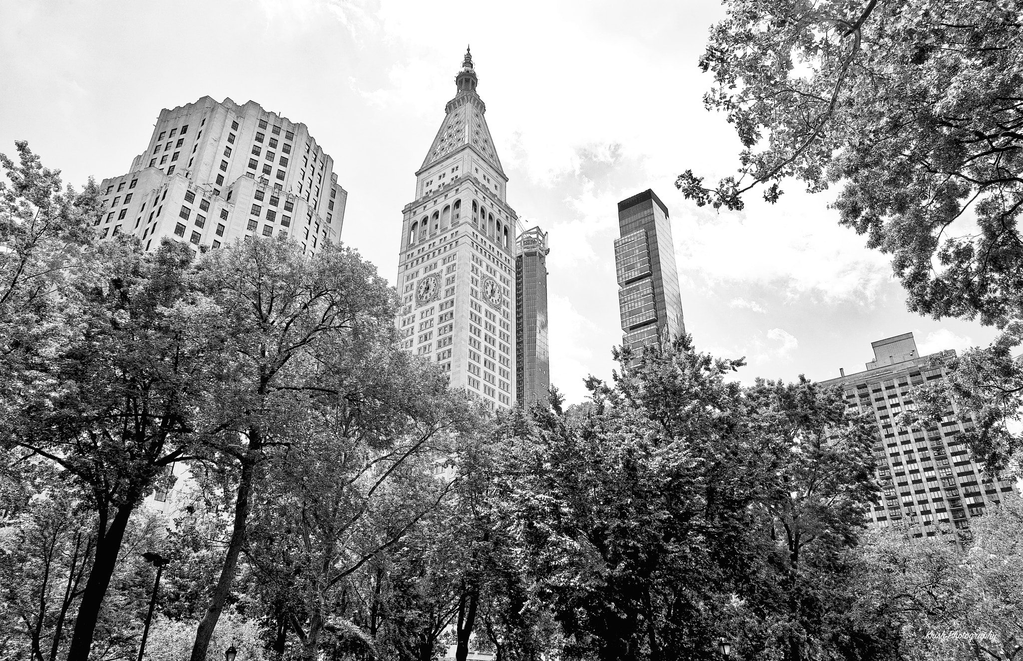 Sony a7R II sample photo. Central park, nyc photography