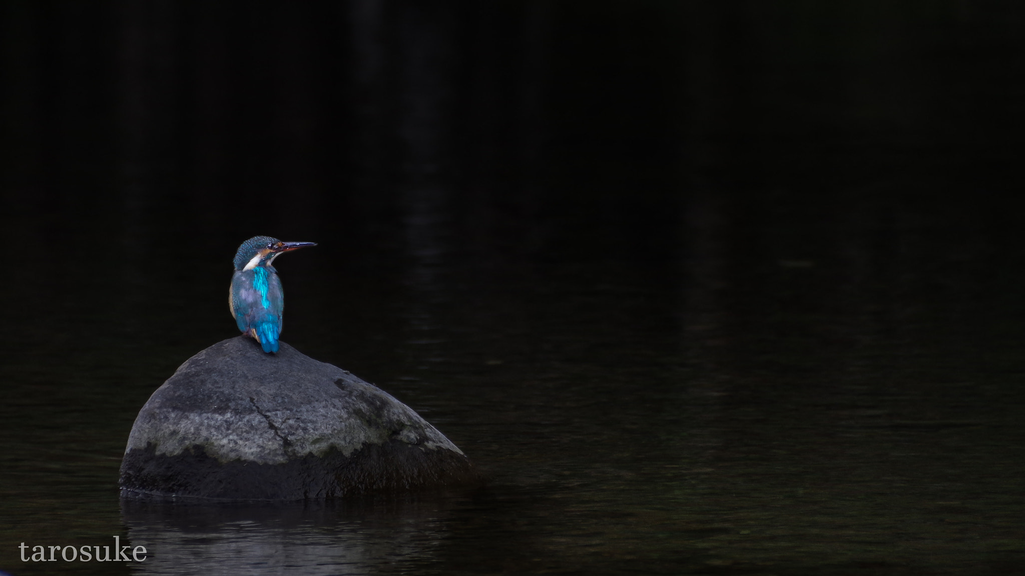 Pentax K-3 + Pentax smc DA 18-270mm F3.5-6.3 ED SDM sample photo. In the silence photography