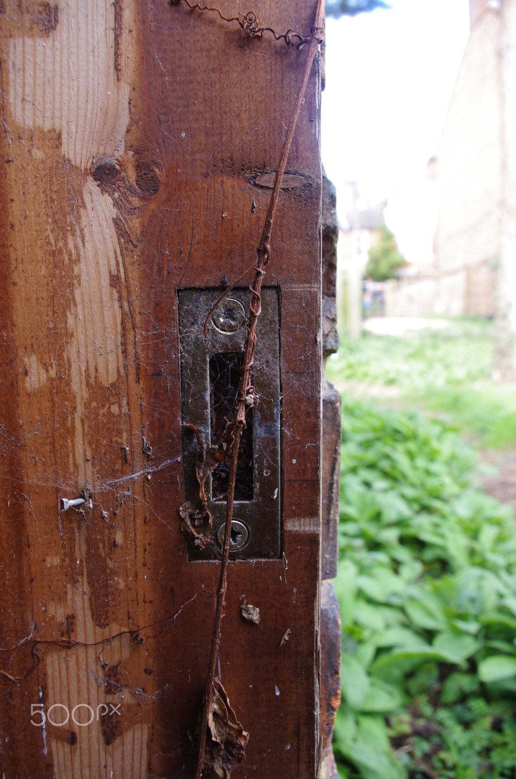 Pentax smc DA 18-55mm F3.5-5.6 AL WR sample photo. Shed photography