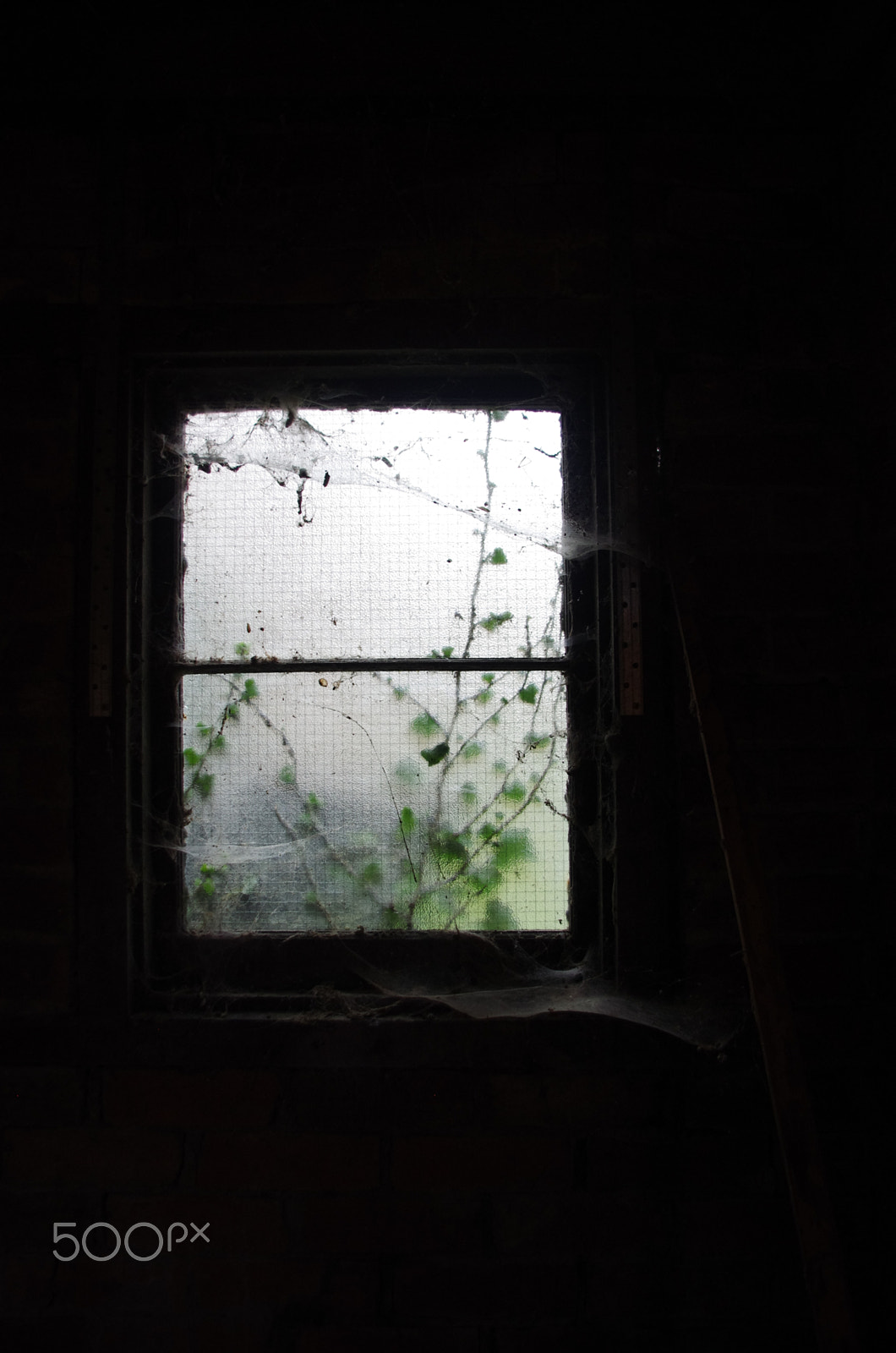 Pentax smc DA 18-55mm F3.5-5.6 AL WR sample photo. Shed window photography